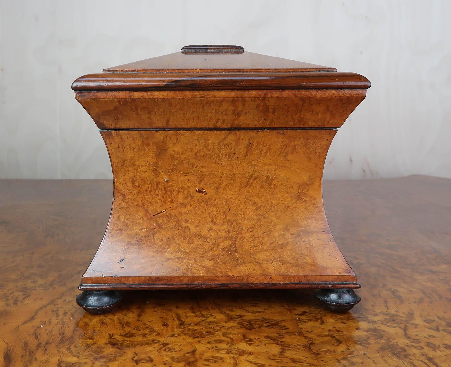 Antique Regency Sarcophagus Shaped Tea Caddy. English C.1820 3