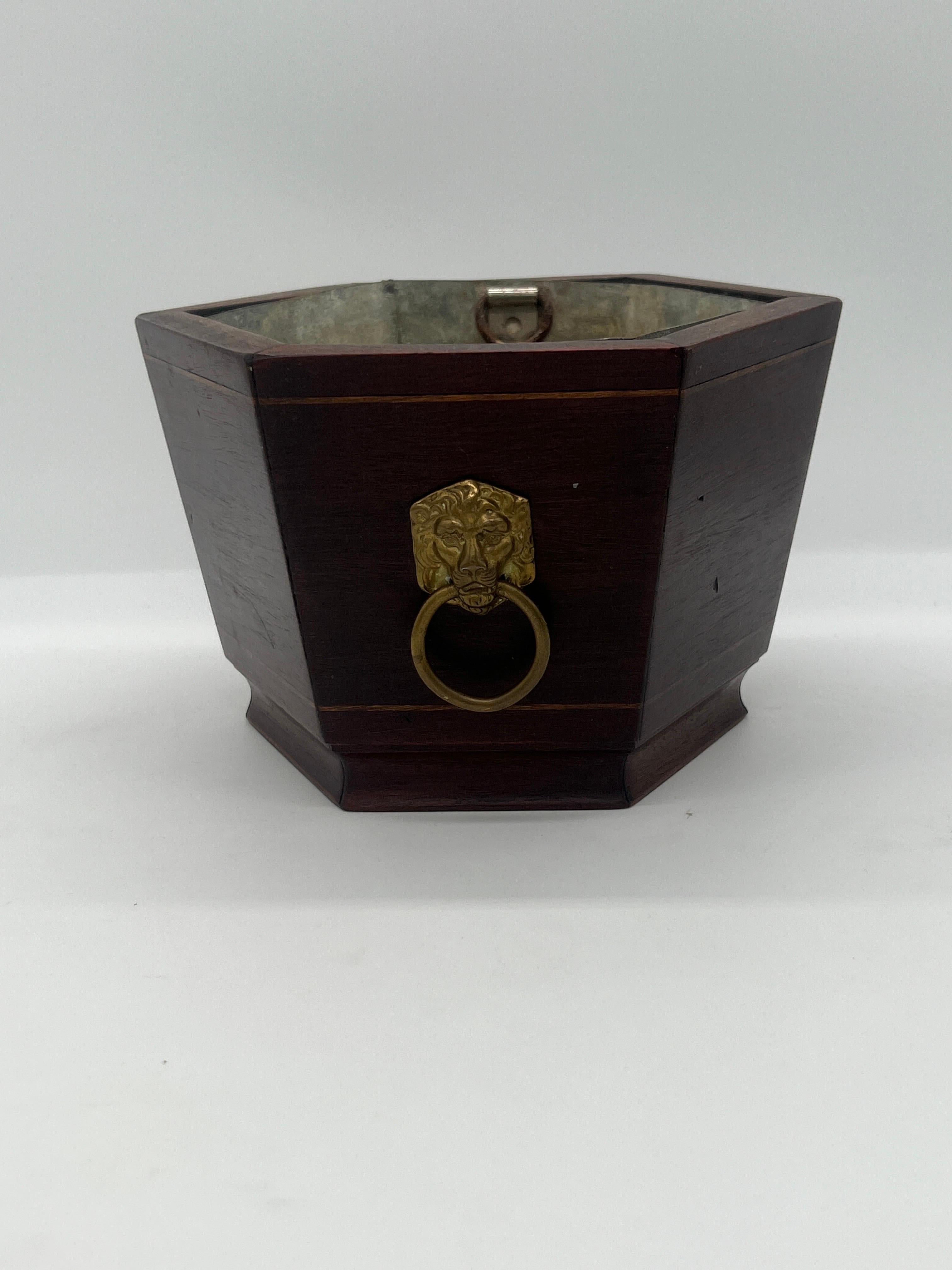 English Antique Regency Style Mahogany & Brass Lion Pull Cachepot or Jardiniere For Sale