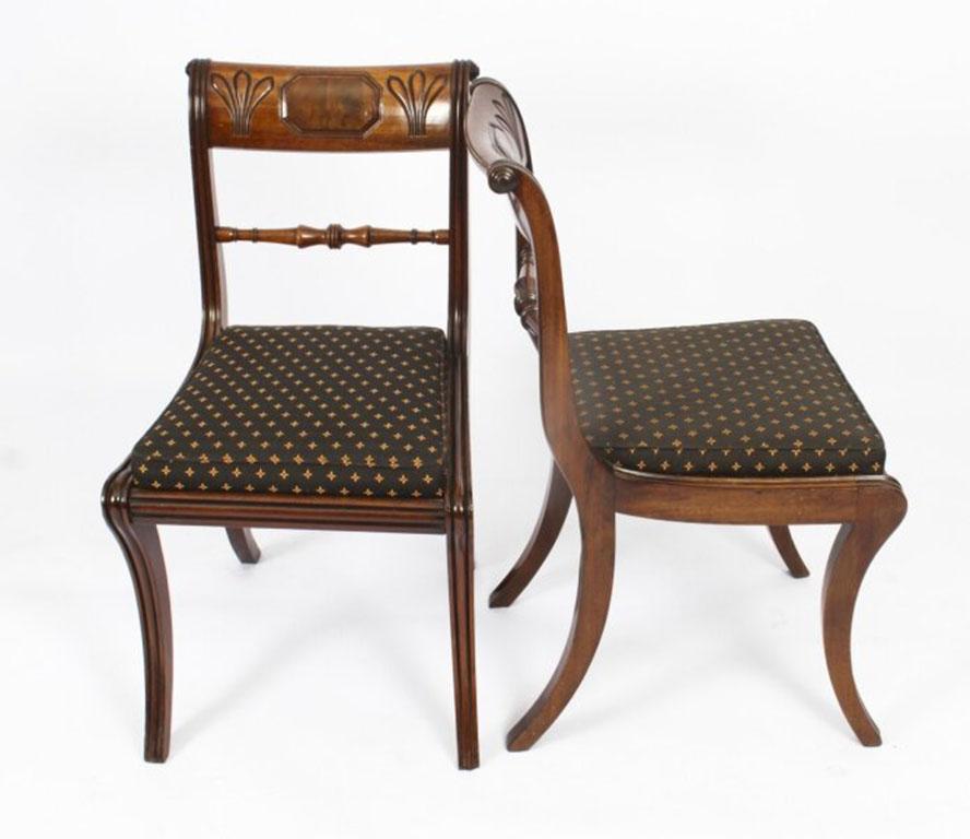Antique Regency Twin Pillar Dining Table & 10 Regency Chairs 19th Century 11