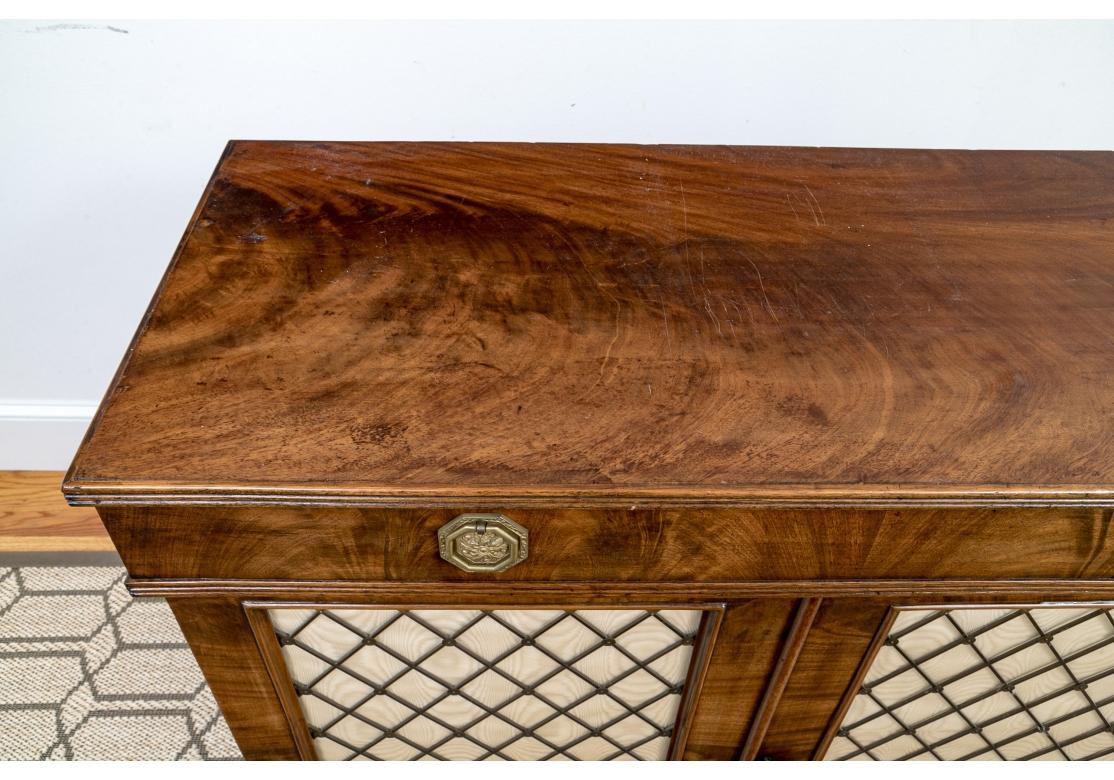 Antique Regency Style Grid Front Cabinet In Distressed Condition In Bridgeport, CT