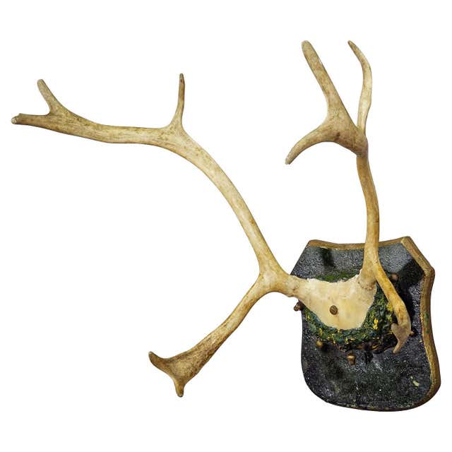 Vintage Antler Rack Mounted For Sale at 1stDibs