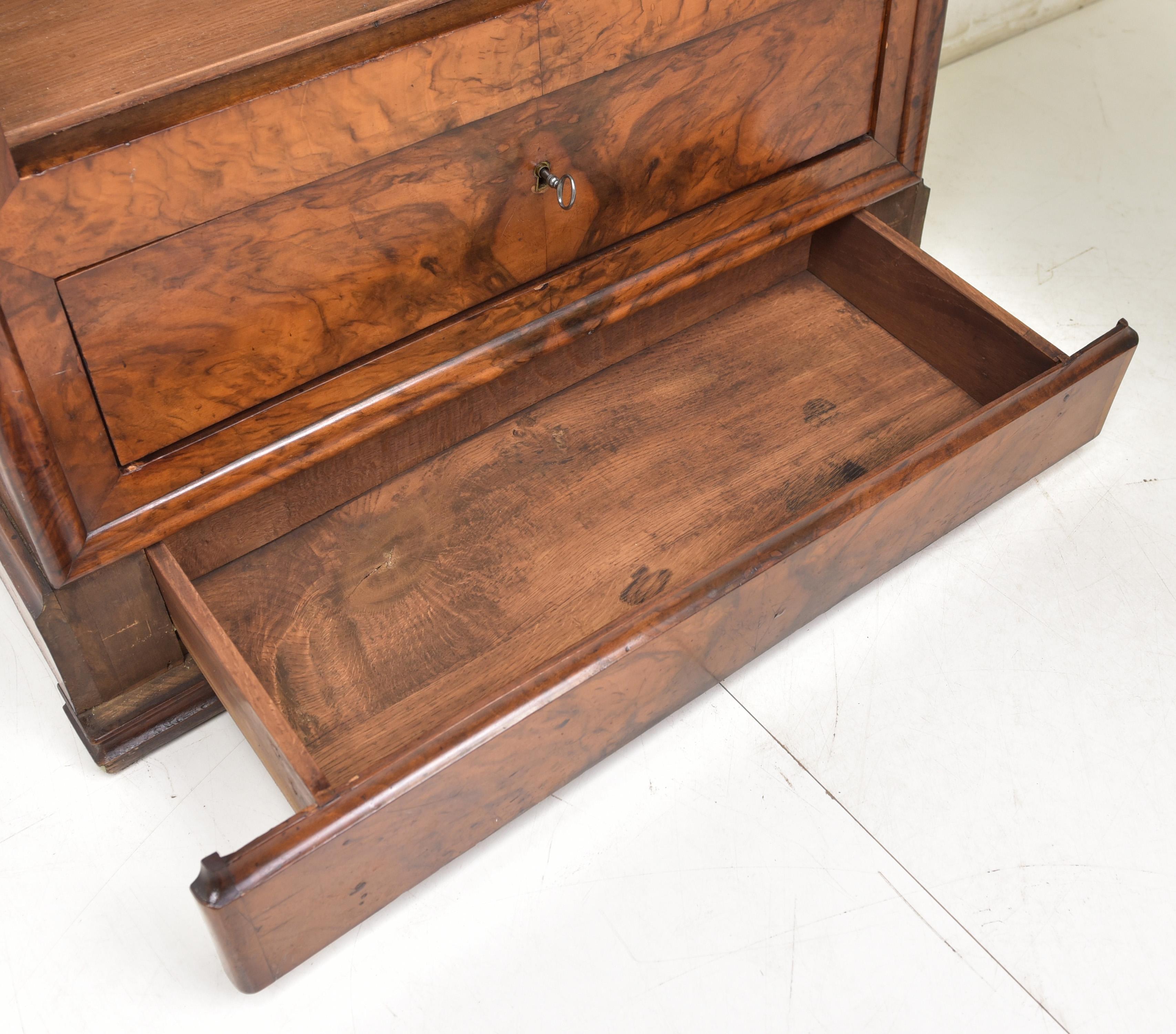 19th Century Antique Restored Walnut Louis Philippe Hallway Cabinet