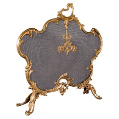 Antique Rococo Fire Screen, French, Gilt Brass, Fireside Panel, Victorian, 1900