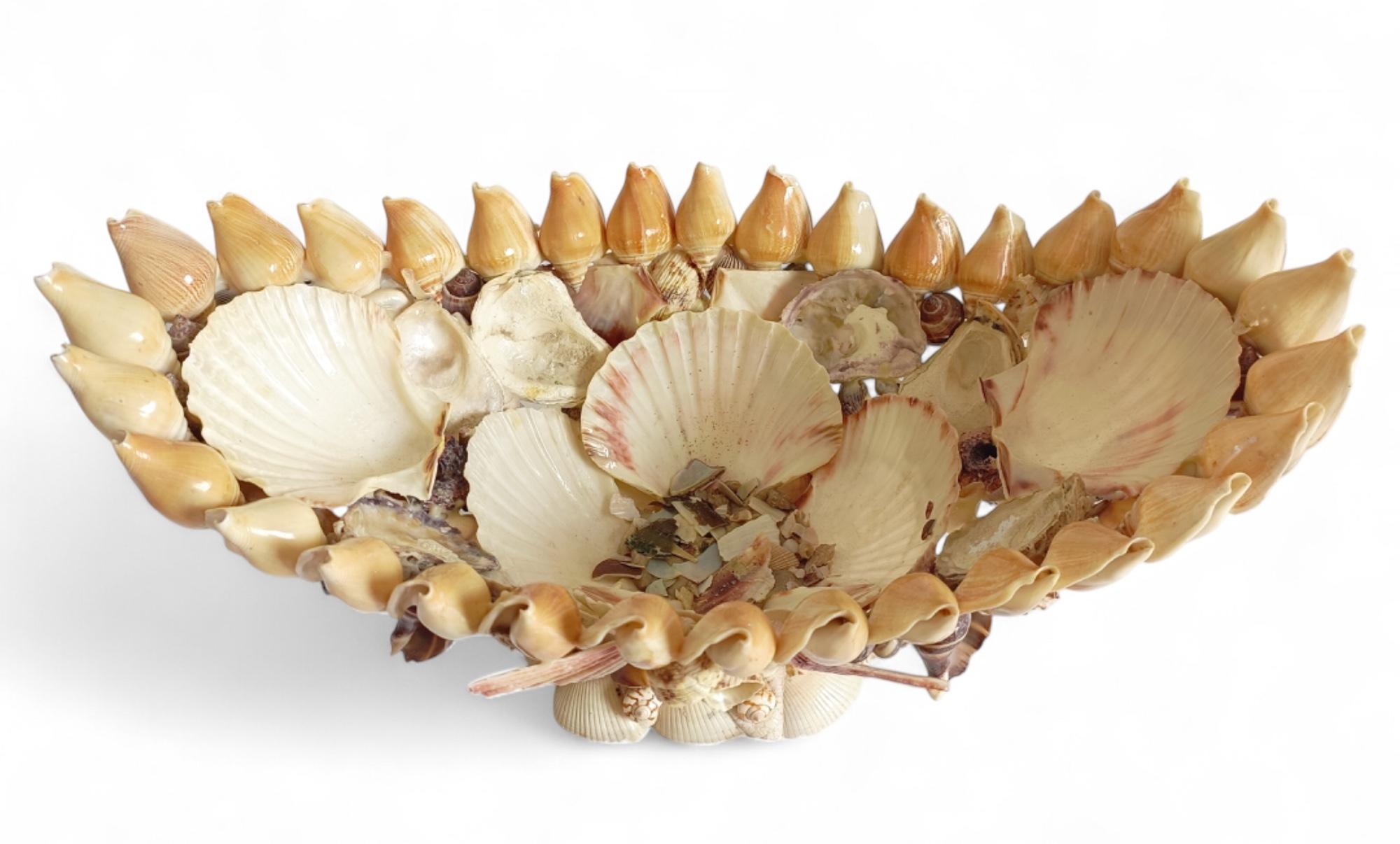 Antico centrotavola di grandi dimensioni con conchiglie o coquillage, fine del XIX sec. in vendita 4