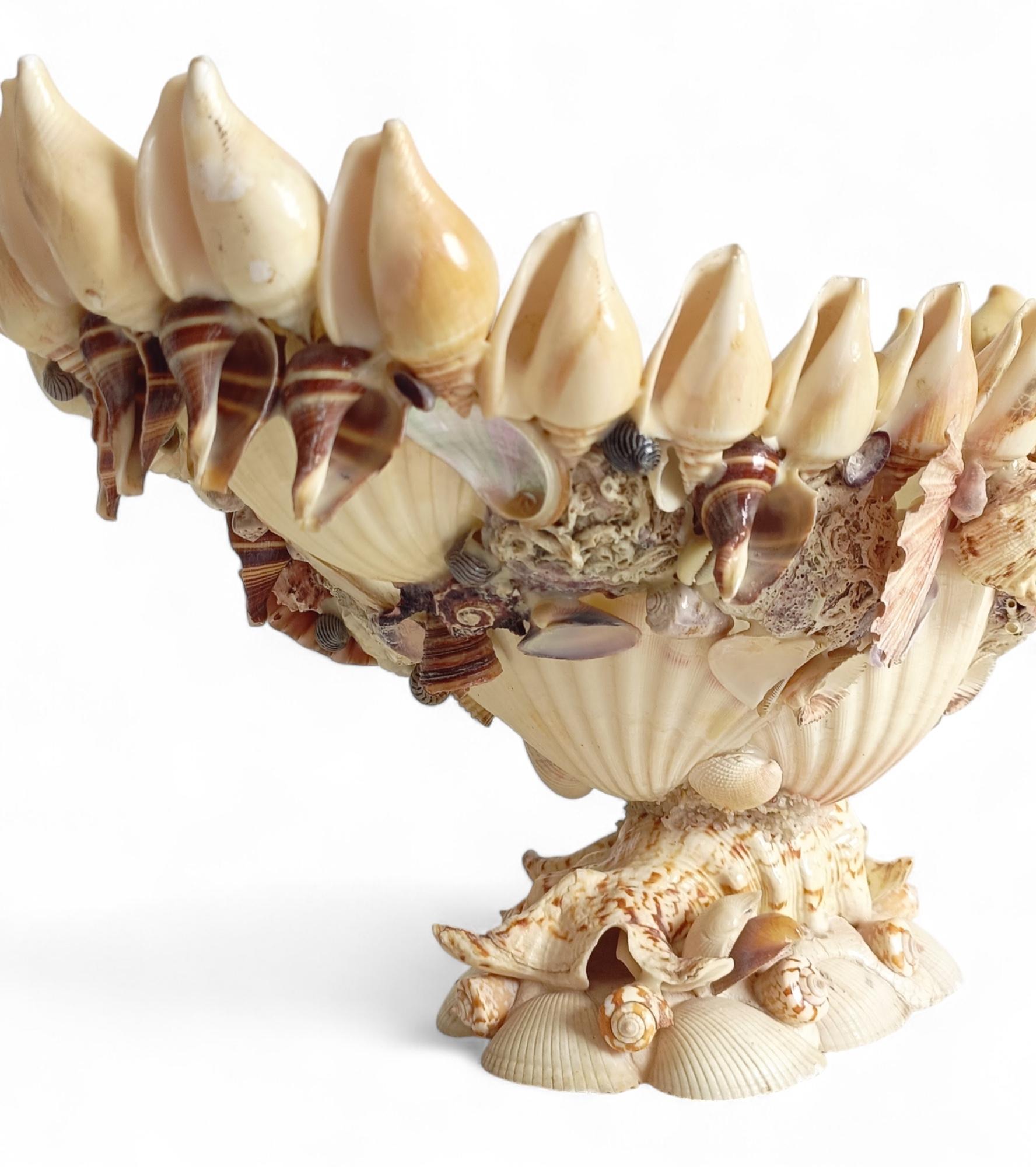 Antico centrotavola di grandi dimensioni con conchiglie o coquillage, fine del XIX sec. in vendita 8