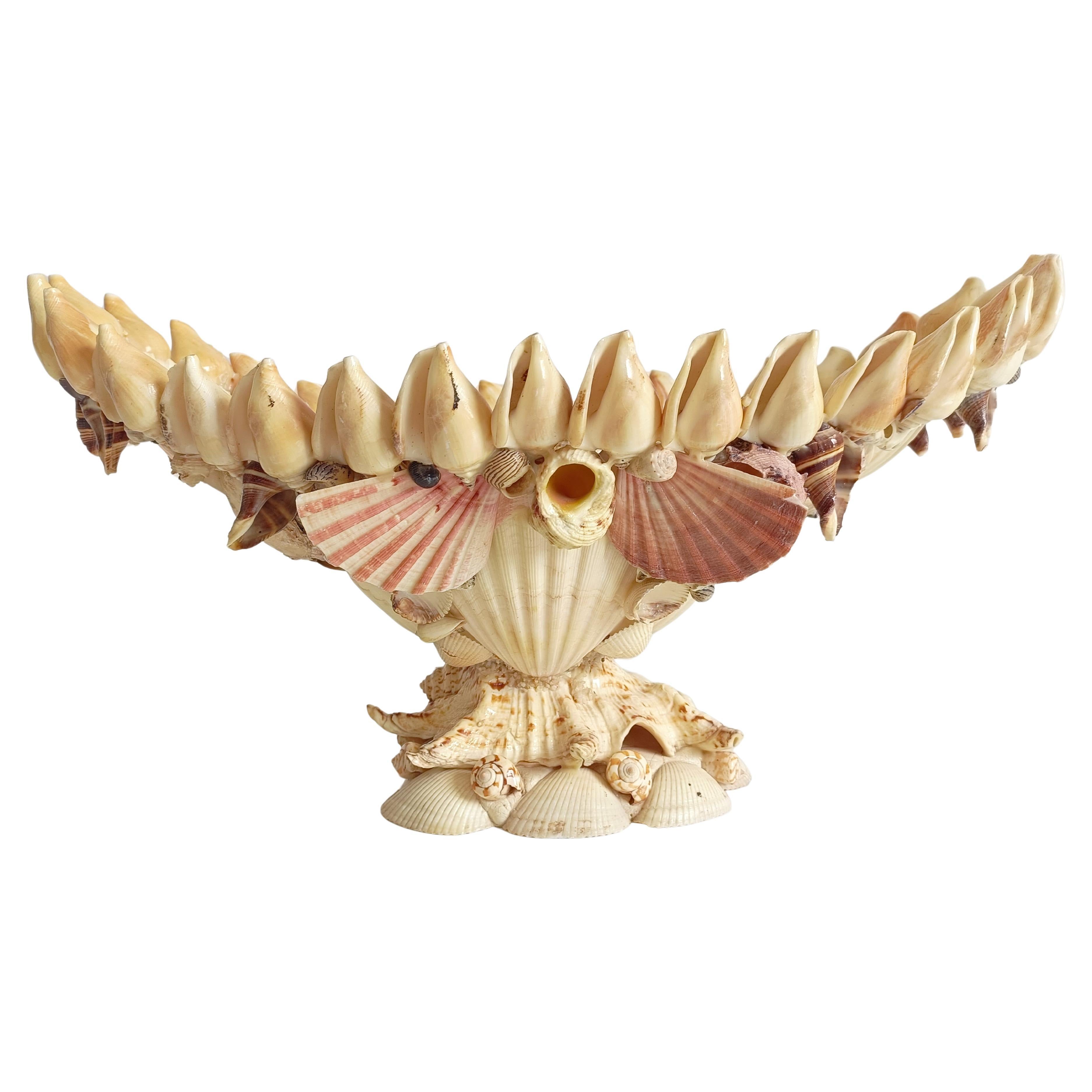 Eccezionale centrotavola francese a coquillage, fine del XIX-XX secolo

Un grande centrotavola assolutamente straordinario e unico, realizzato magistralmente a mano in Francia a cavallo tra il XIX e l'inizio del XX secolo. Composto interamente da