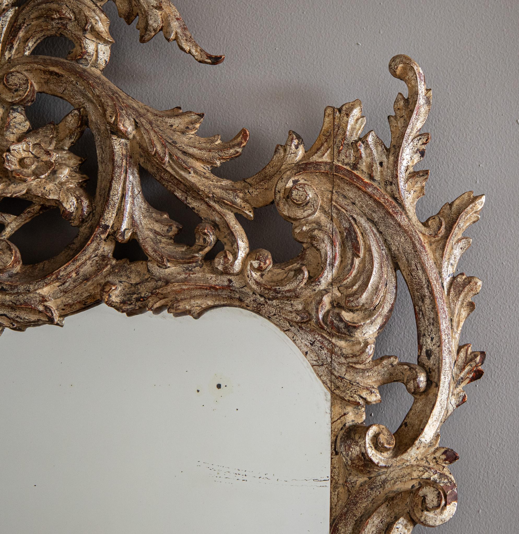 Wood Early 1900’s Florentine rococo Style Silver Giltwood mirror For Sale