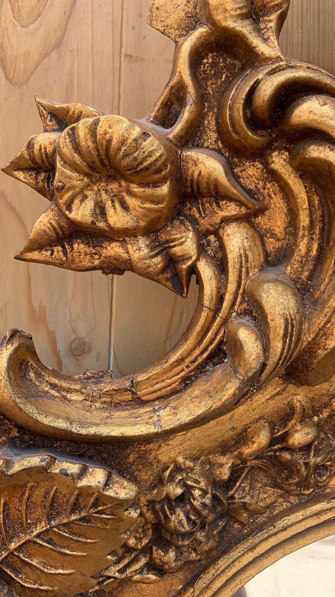 Antique Rococo Style Ornate Carved Floor Wall Mirror 5
