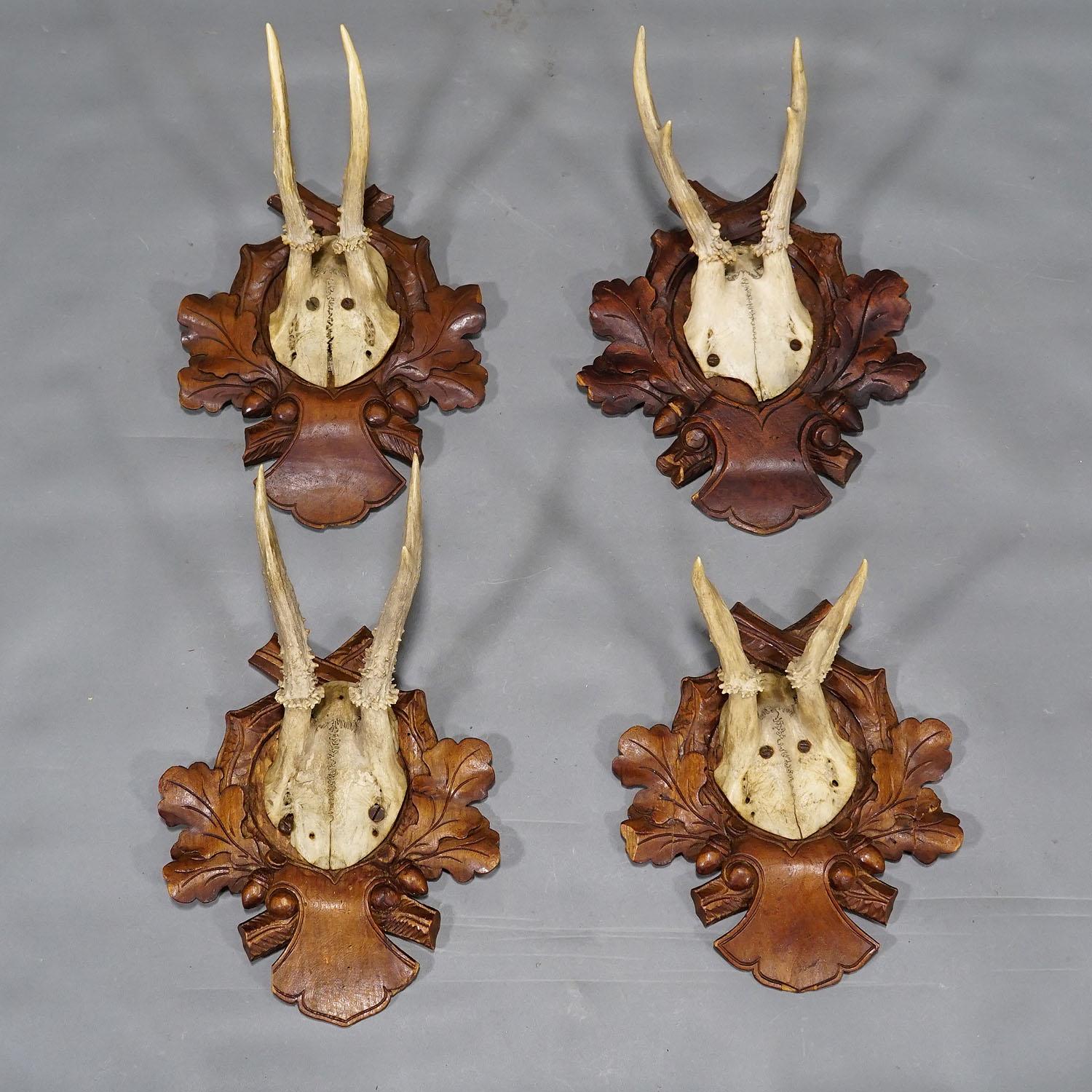Allemand Trophées de cerfs anciens sur plaques sculptées Allemagne vers 1900 en vente