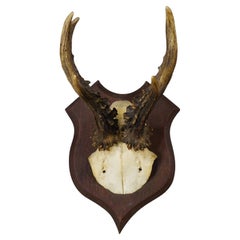 Decorative Art