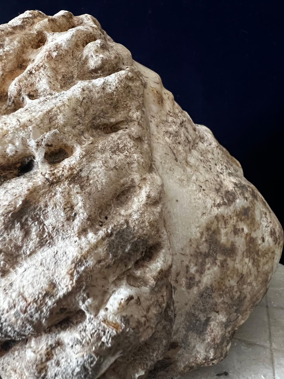 Italian Antique Roman Marble Head of Venus 1st-3rd Century AD For Sale