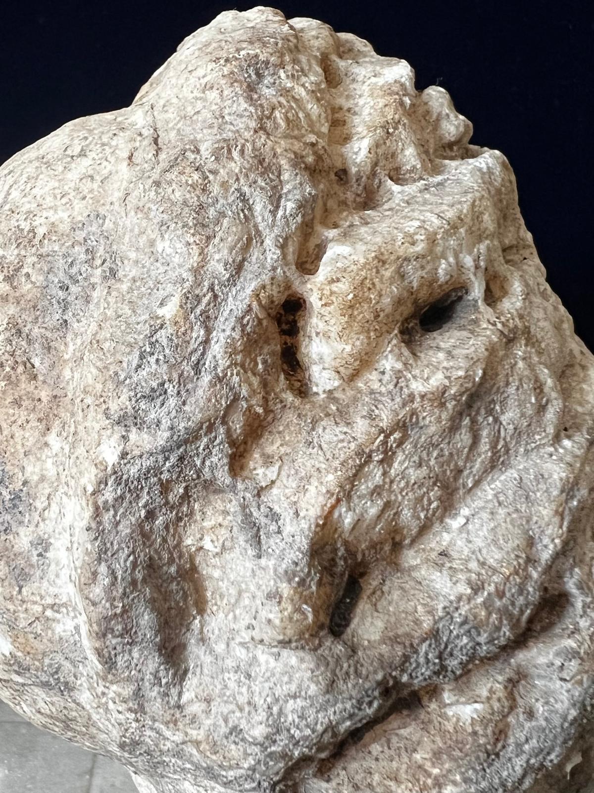 Hand-Carved Antique Roman Marble Head of Venus 1st-3rd Century AD For Sale