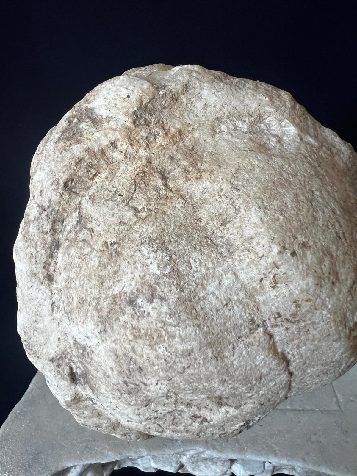 Antique Roman Marble Head of Venus 1st-3rd Century AD In Fair Condition For Sale In Doha, QA