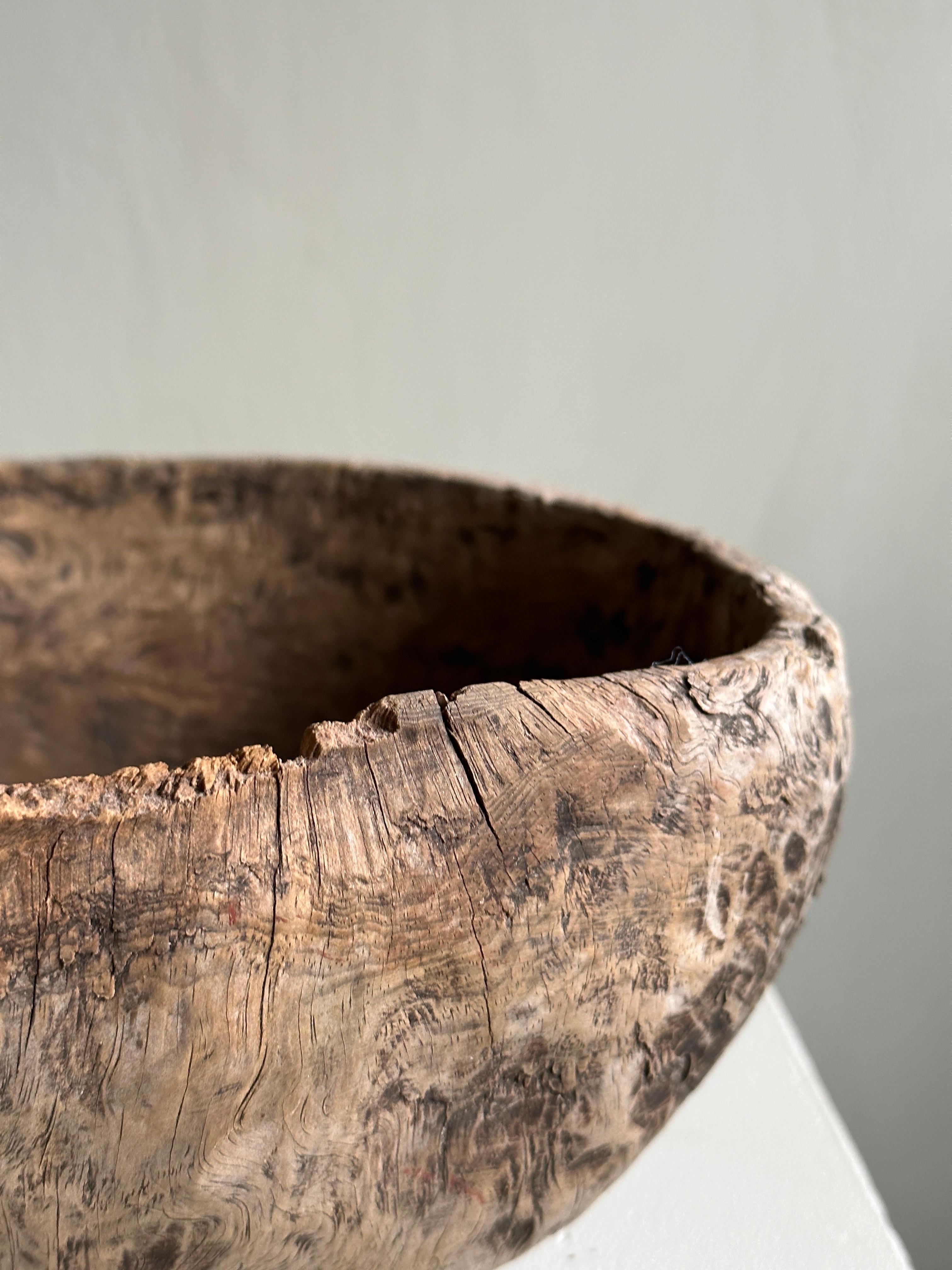 Antique Root Bowl, Wabi Sabi Style, Scandinavia 1800s 1