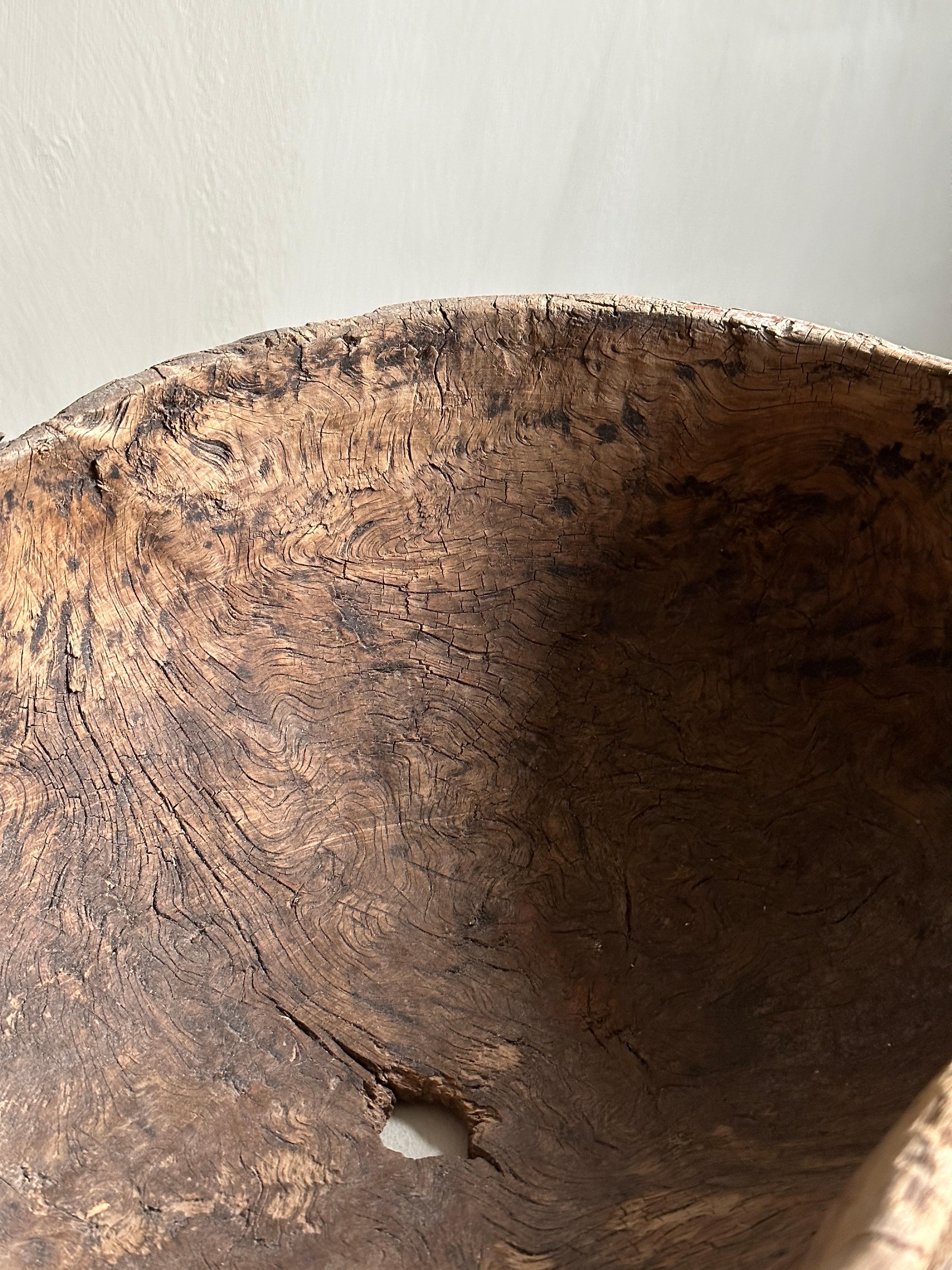 Antique Root Bowl, Wabi Sabi Style, Scandinavia 1800s 2