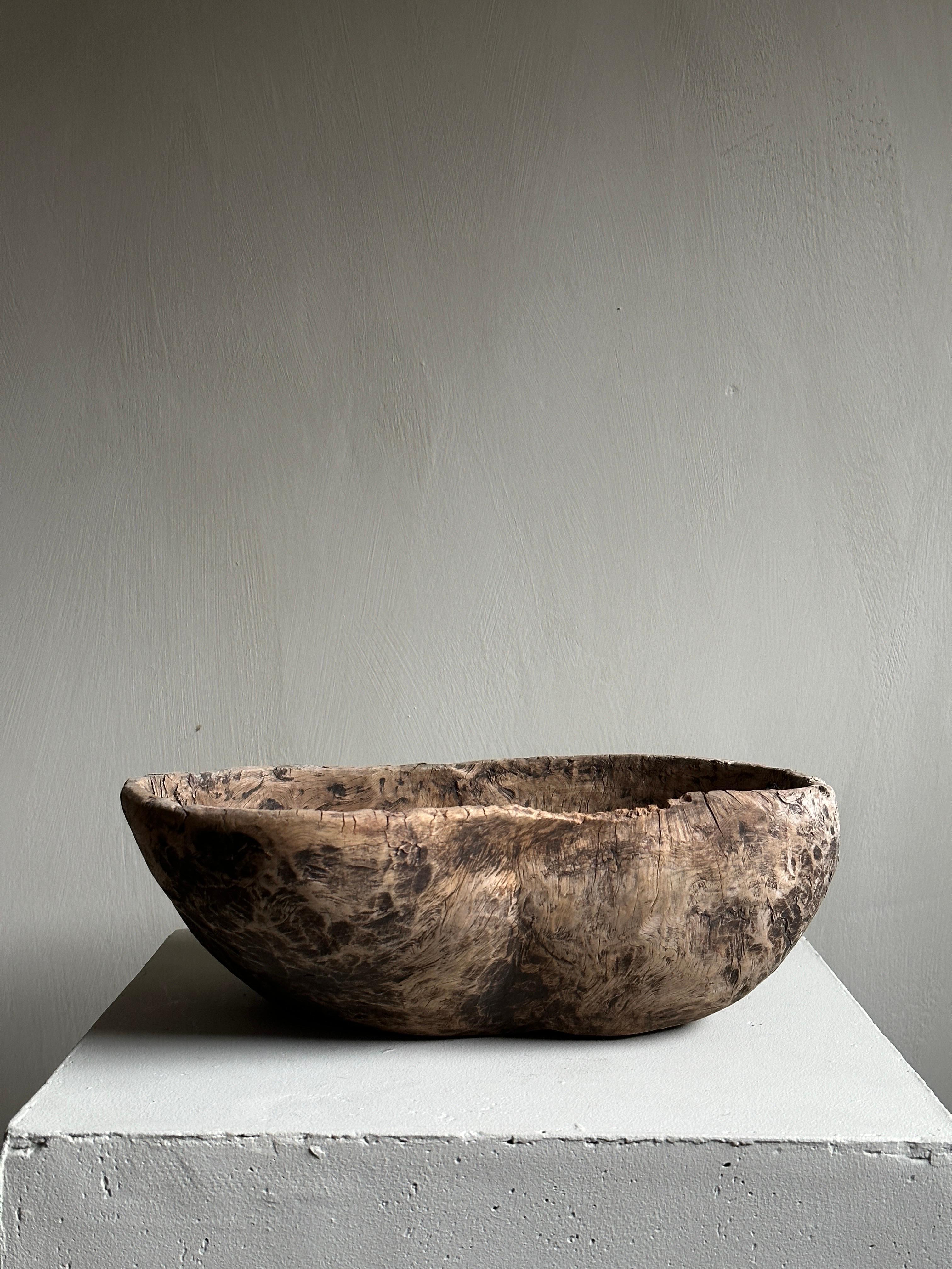 Antique Root Bowl, Wabi Sabi Style, Scandinavia 1800s 3