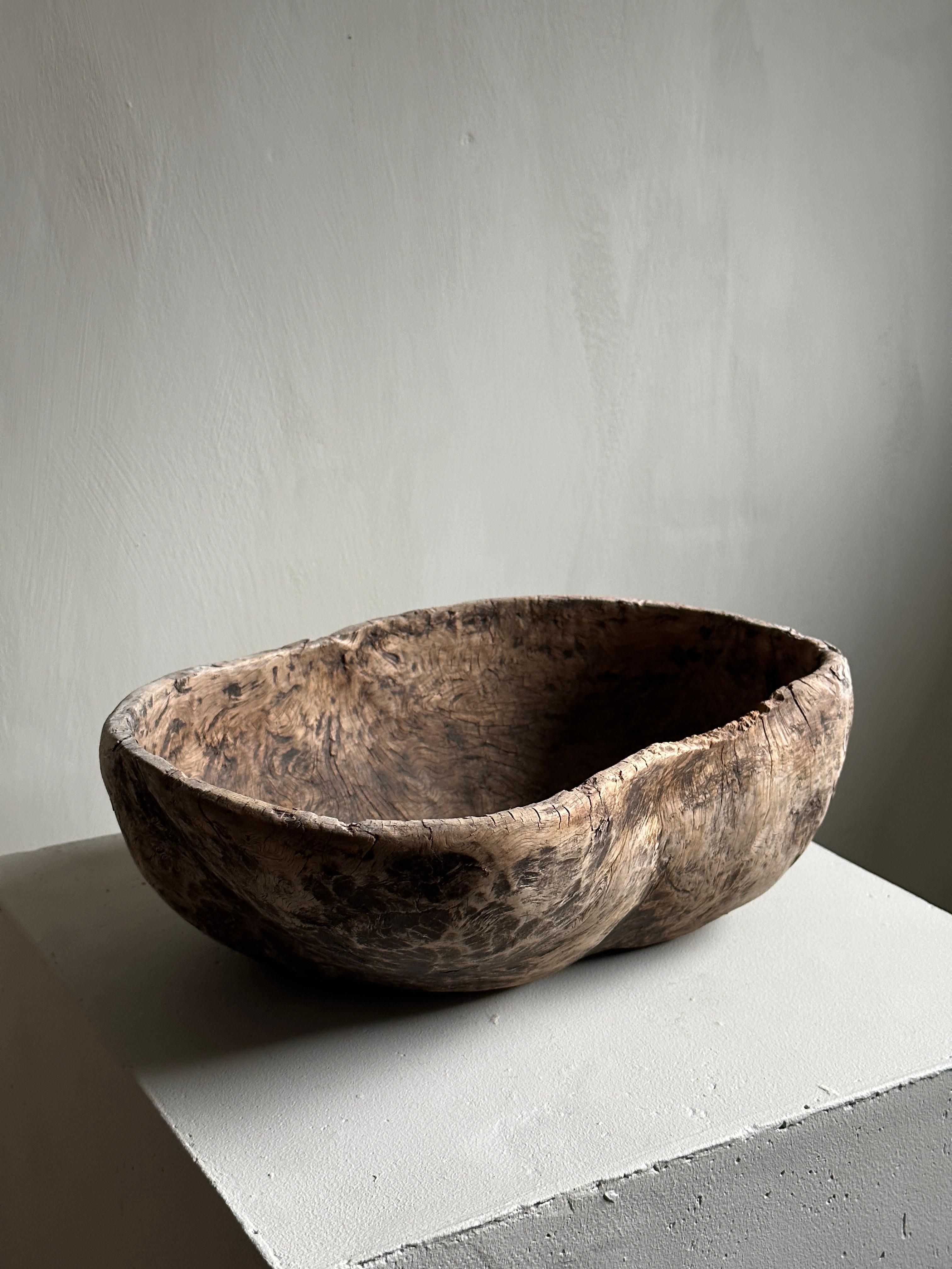 Antique Root Bowl, Wabi Sabi Style, Scandinavia 1800s 4