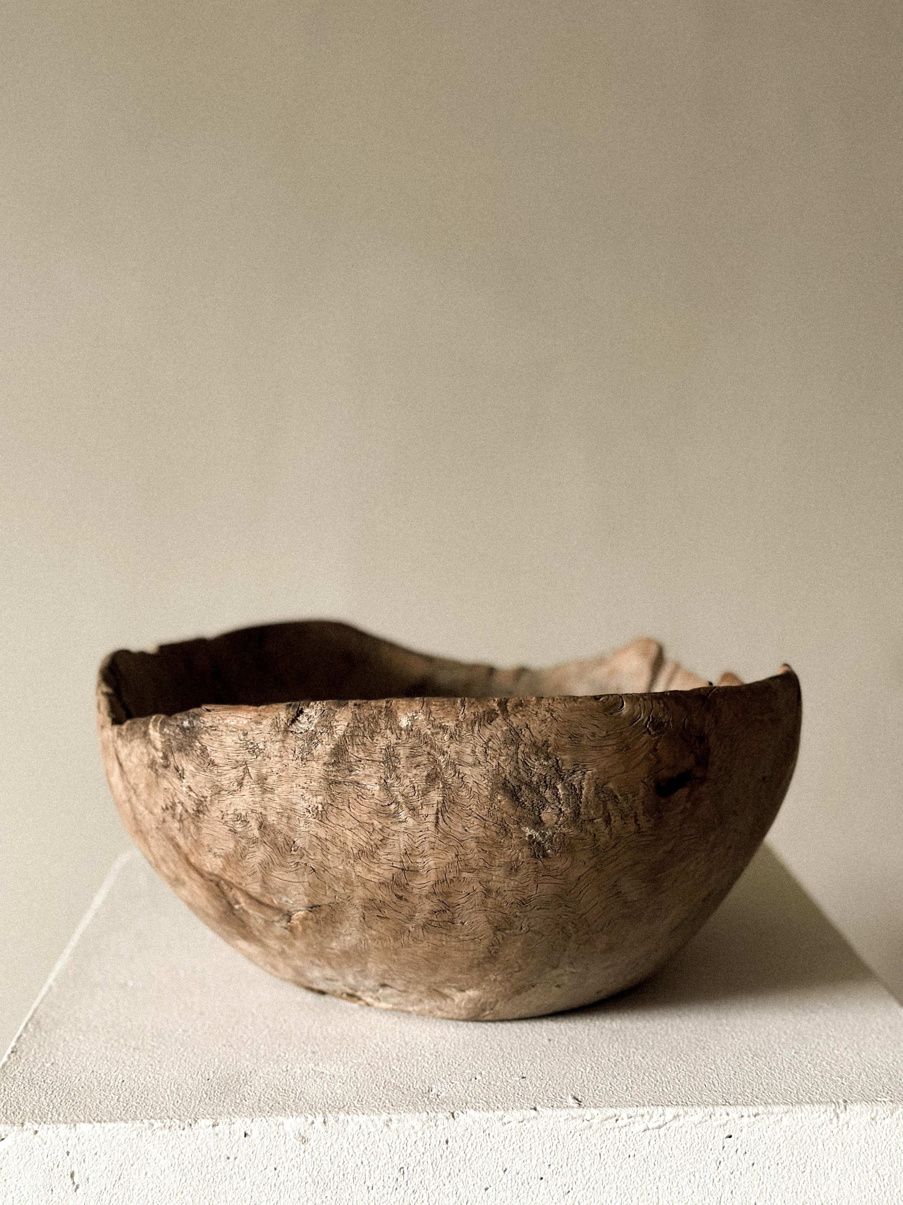 Antike Wurzelschale, Wabi Sabi-Stil, Skandinavien 1800er Jahre (Norwegisch) im Angebot
