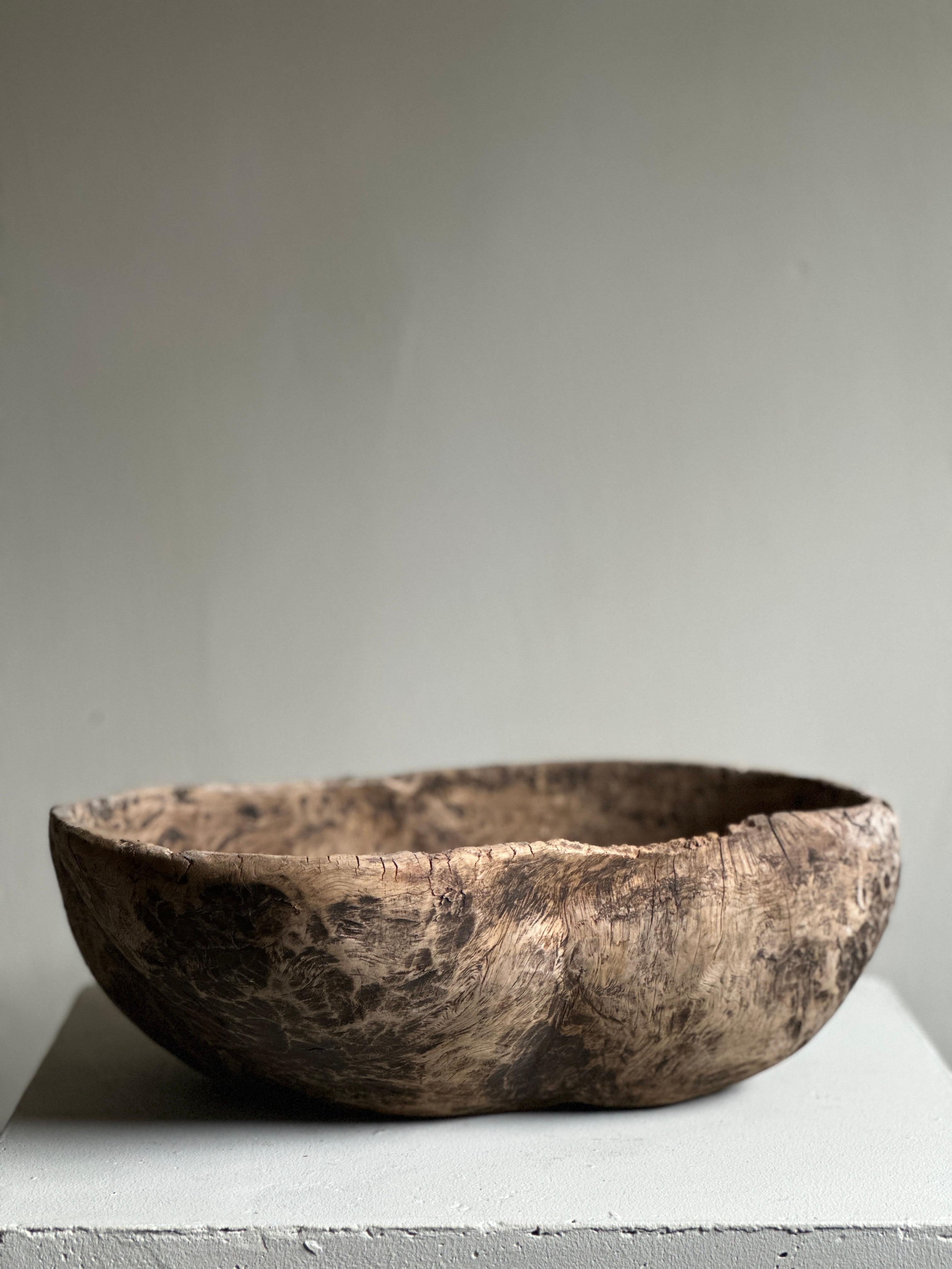 Swedish Antique Root Bowl, Wabi Sabi Style, Scandinavia 1800s