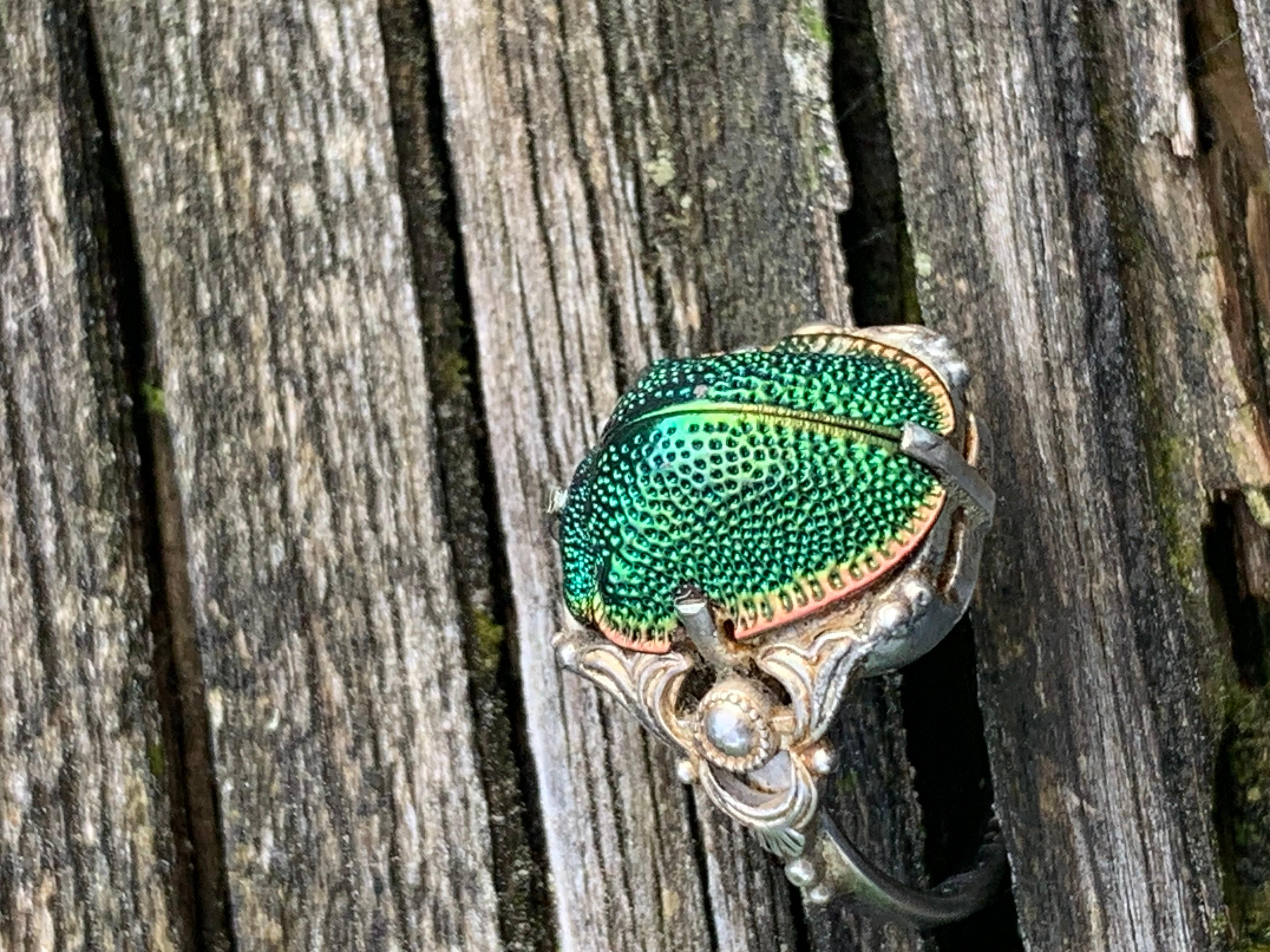 Antike  Rosenkäfer Silberring Neo Archaeological Natural History Neuheit Ring im Zustand „Gut“ in Munich, Bavaria