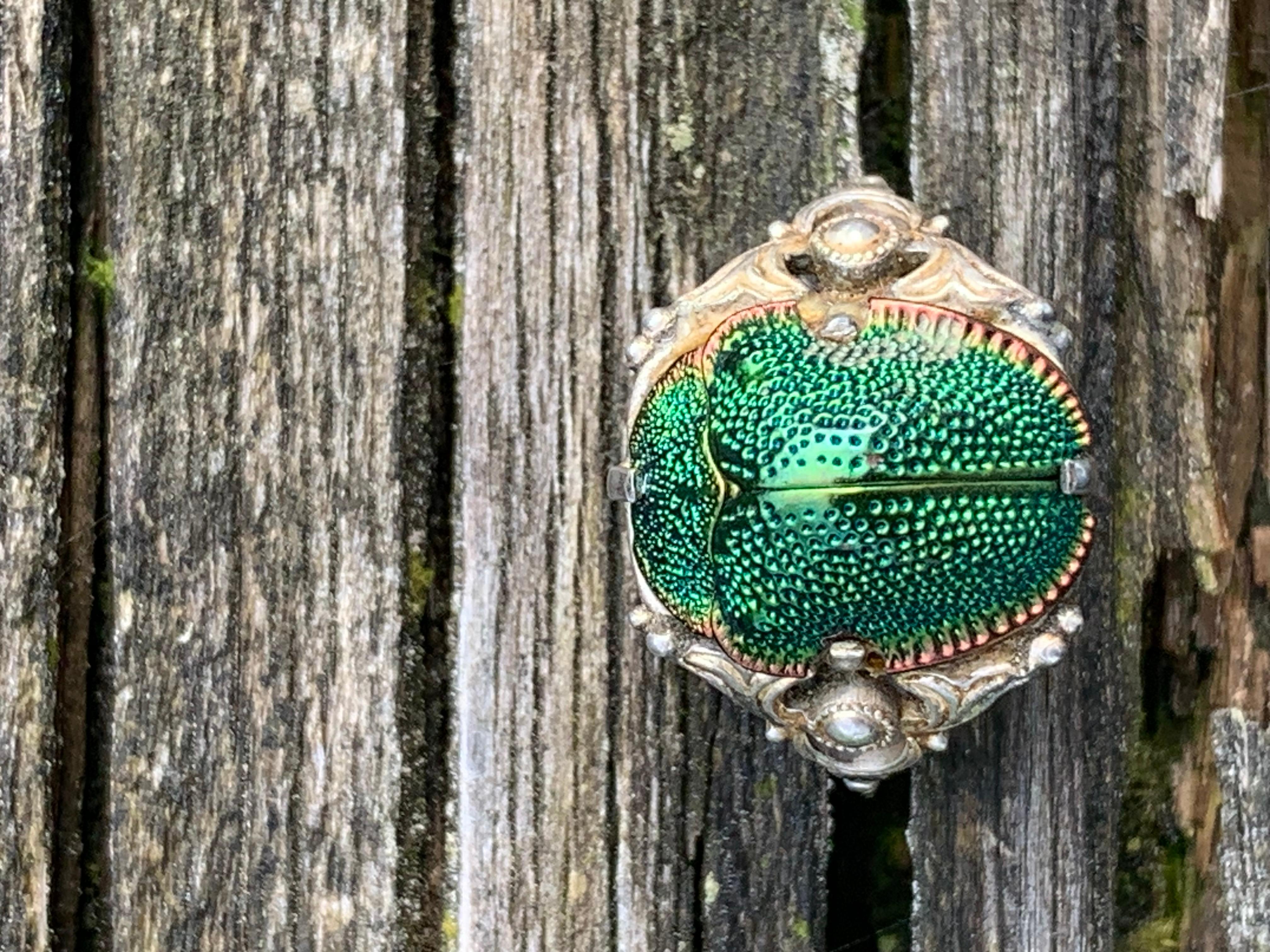 Antike  Rosenkäfer Silberring Neo Archaeological Natural History Neuheit Ring Damen