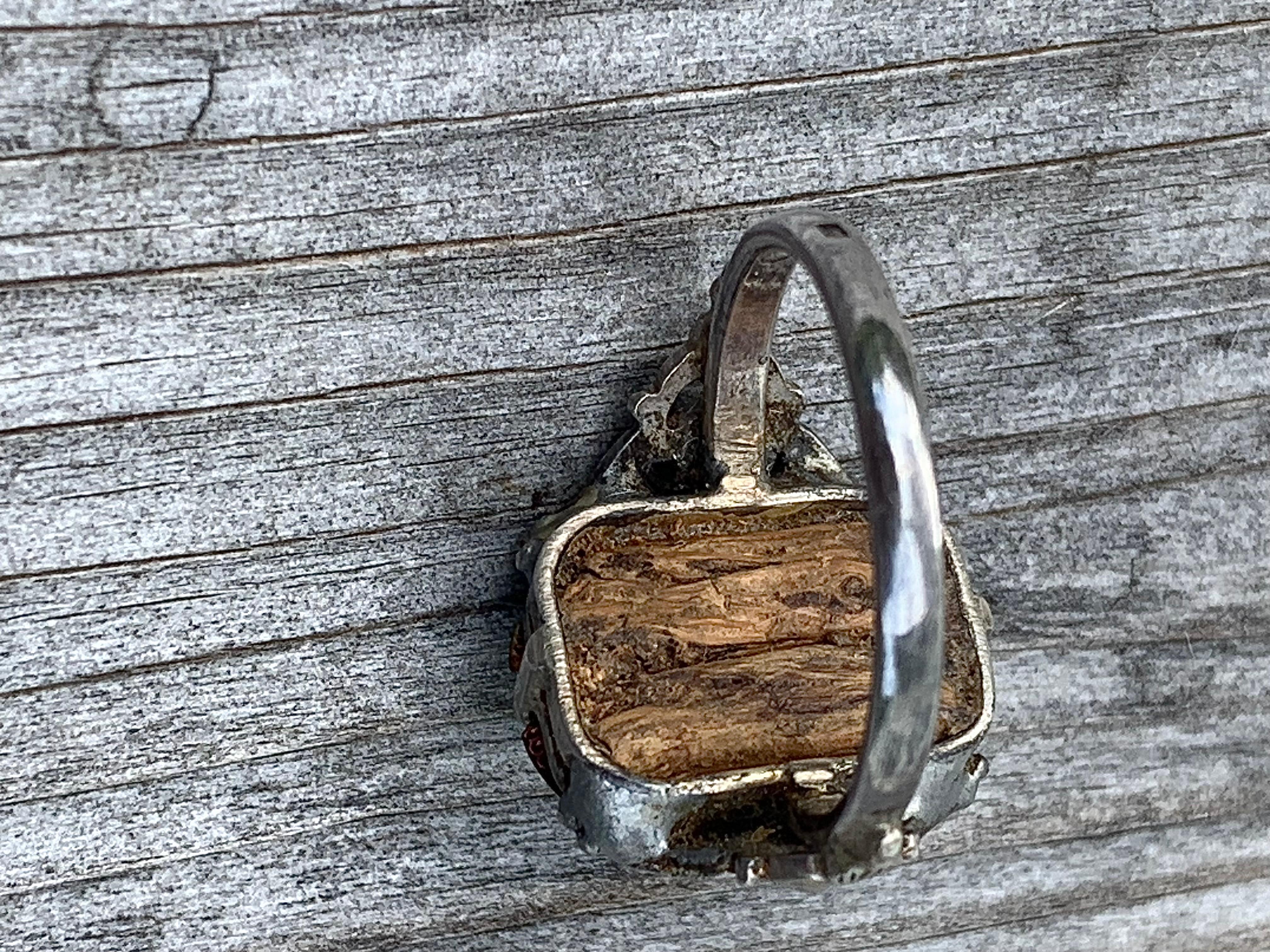 Antike  Rosenkäfer Silberring Neo Archaeological Natural History Neuheit Ring 1