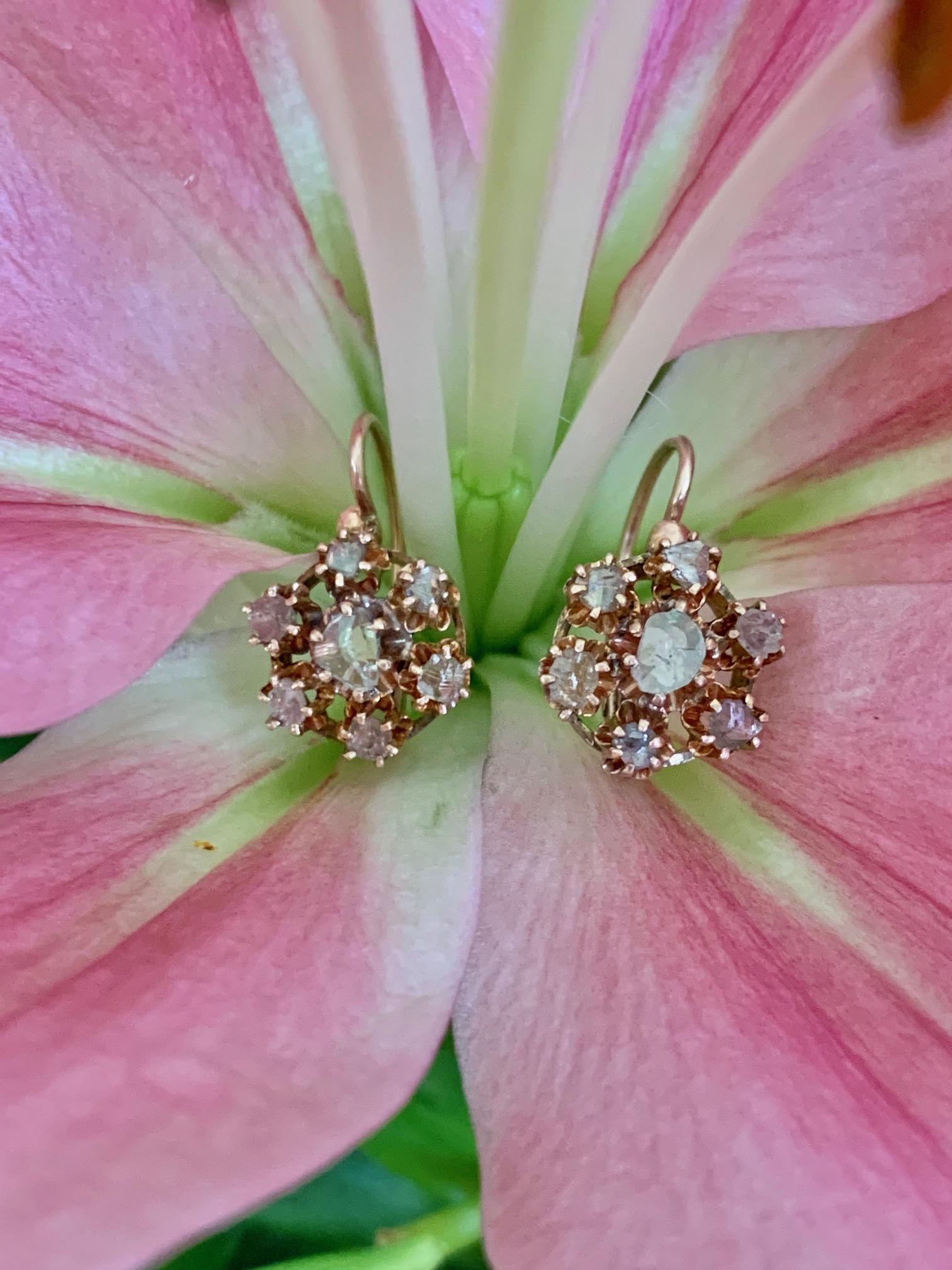 Antique Rose Cut Diamond Cluster 9 Karat Yellow Gold Front Closure Earrings In Good Condition In St. Louis Park, MN