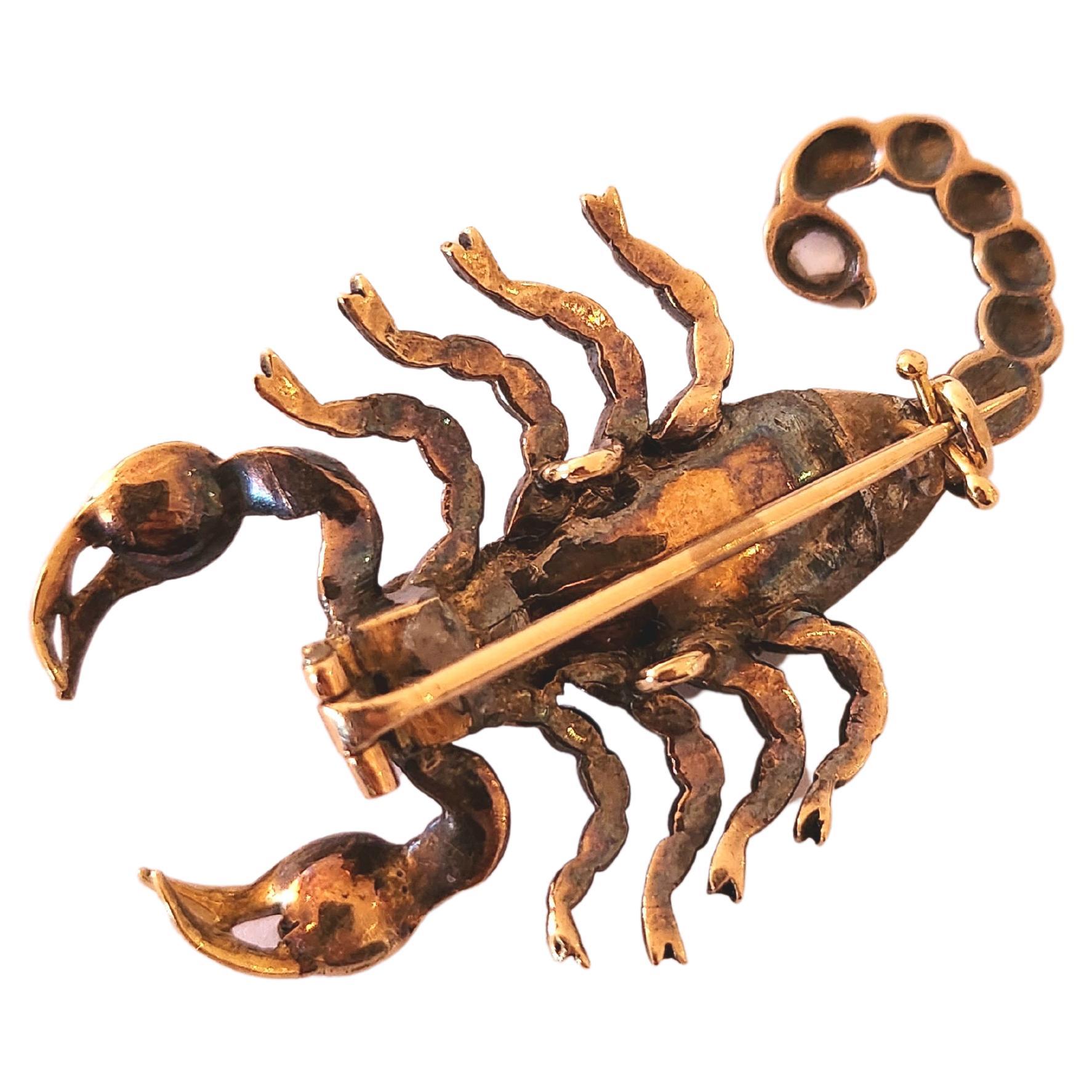 rolex scorpio symbol