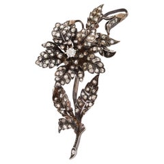Brooches