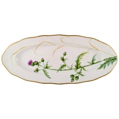 Antique Royal Copenhagen Fish Platter, Hand-Painted in High Quality