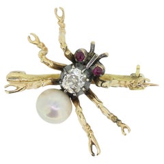 Antike Bug-Brosche mit Rubin, Perle und Diamant