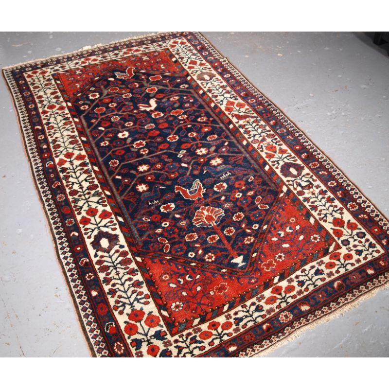 Antique rug by the Luri tribe with very sweet design of flowers and birds.

The rug has an indigo blue field which is covered with a floral vine design, sitting within the flowers are a number of birds, probably chickens and two large peacocks at