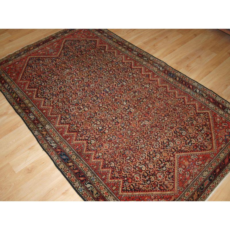 Antique rug from the town of Malayer, the rug has an all over lattice design on a dark indigo blue ground.

The rug is well drawn with pleasing colour, the border complements the rug well.

The rug is in excellent condition with even wear and medium