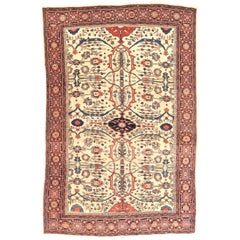 Antique Rug, Persian Farahan Sarouk, circa 1890