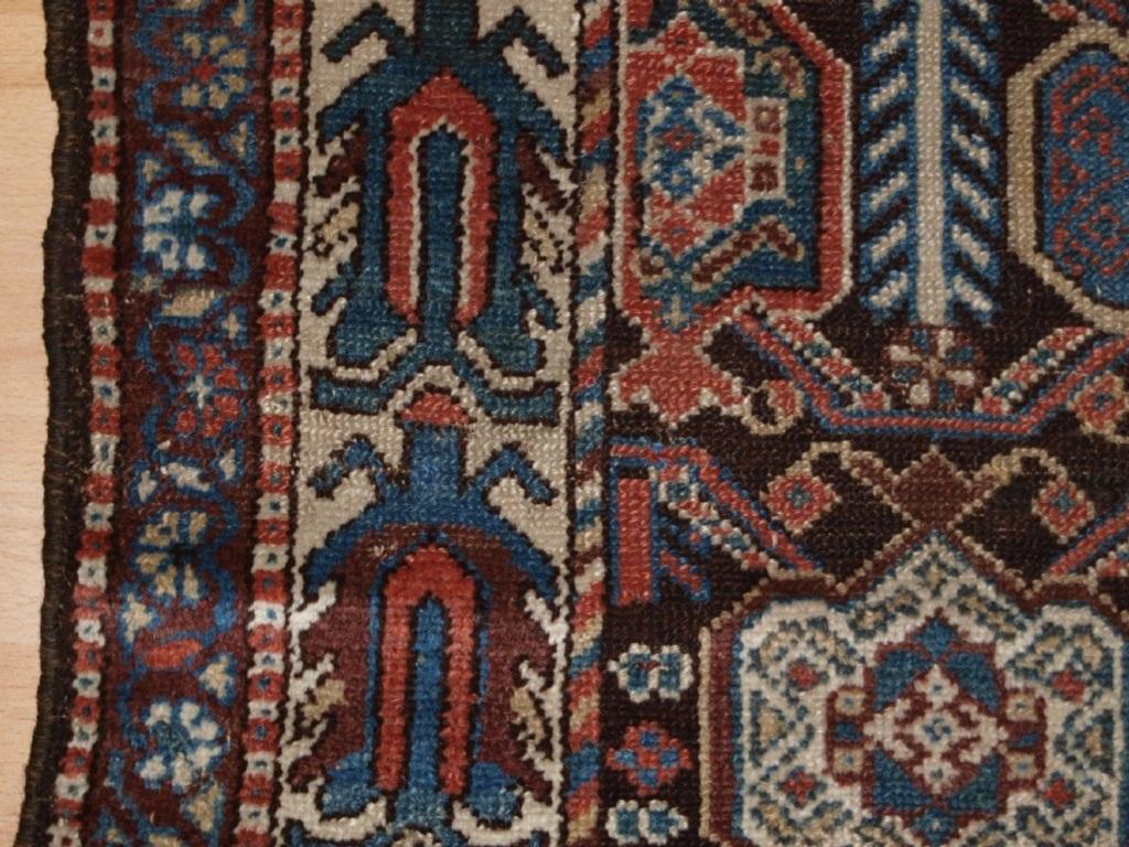 Antiker Läufer des persischen Luri-Stammes, mit allseitig wiederholtem Schildmuster
CIRCA 1900

Persische Stammesläufer sind recht selten, dies ist ein ausgezeichnetes Beispiel mit einem sich wiederholenden Schildmuster in sanften Pastellfarben auf