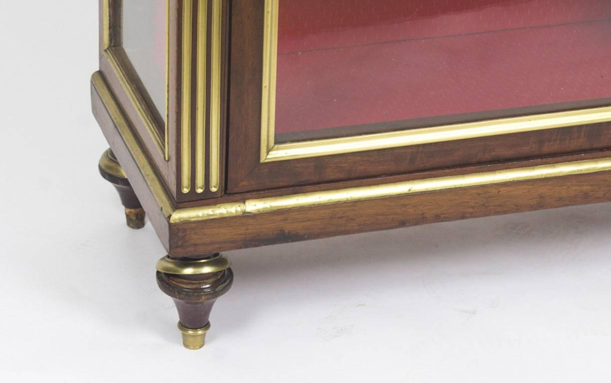 Antique Russian Brass Inlaid Neoclassical Display Cabinet, 19th Century 9