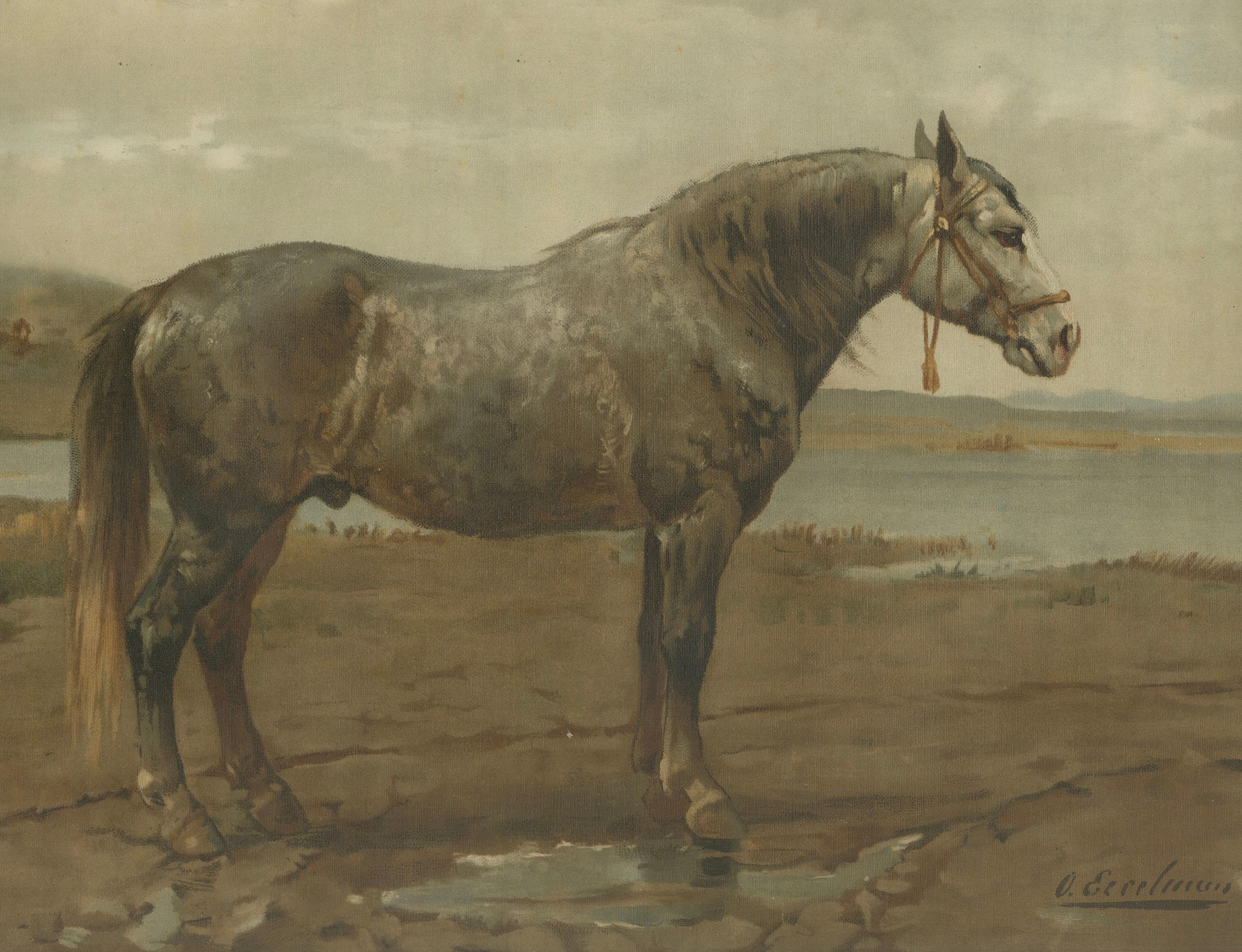 Antique Russian Draft Horse Portrait 1898, Eastern European Equesestrian Litho
