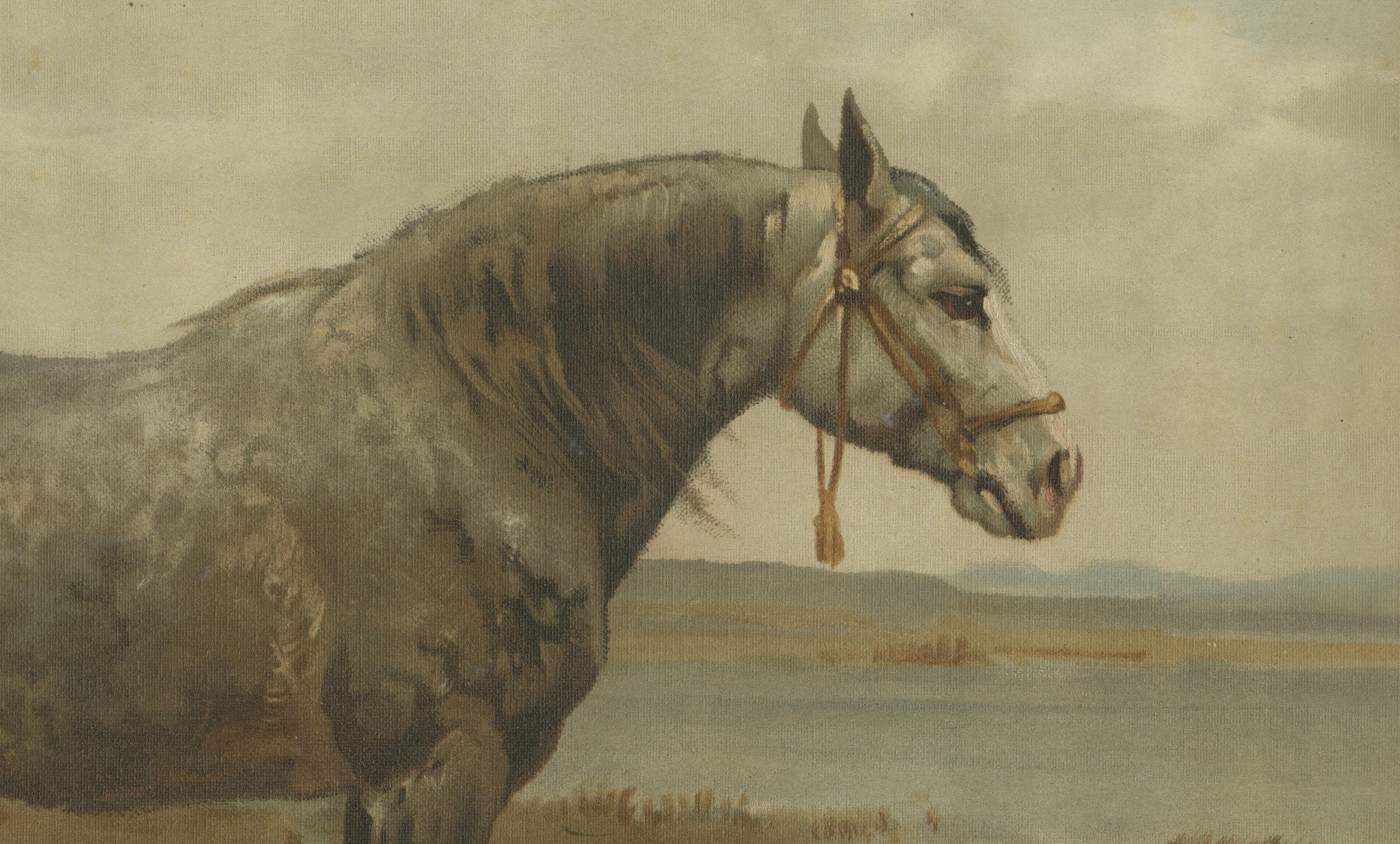 Antique Russian Draft Horse Portrait 1898, Eastern European Equesestrian Litho