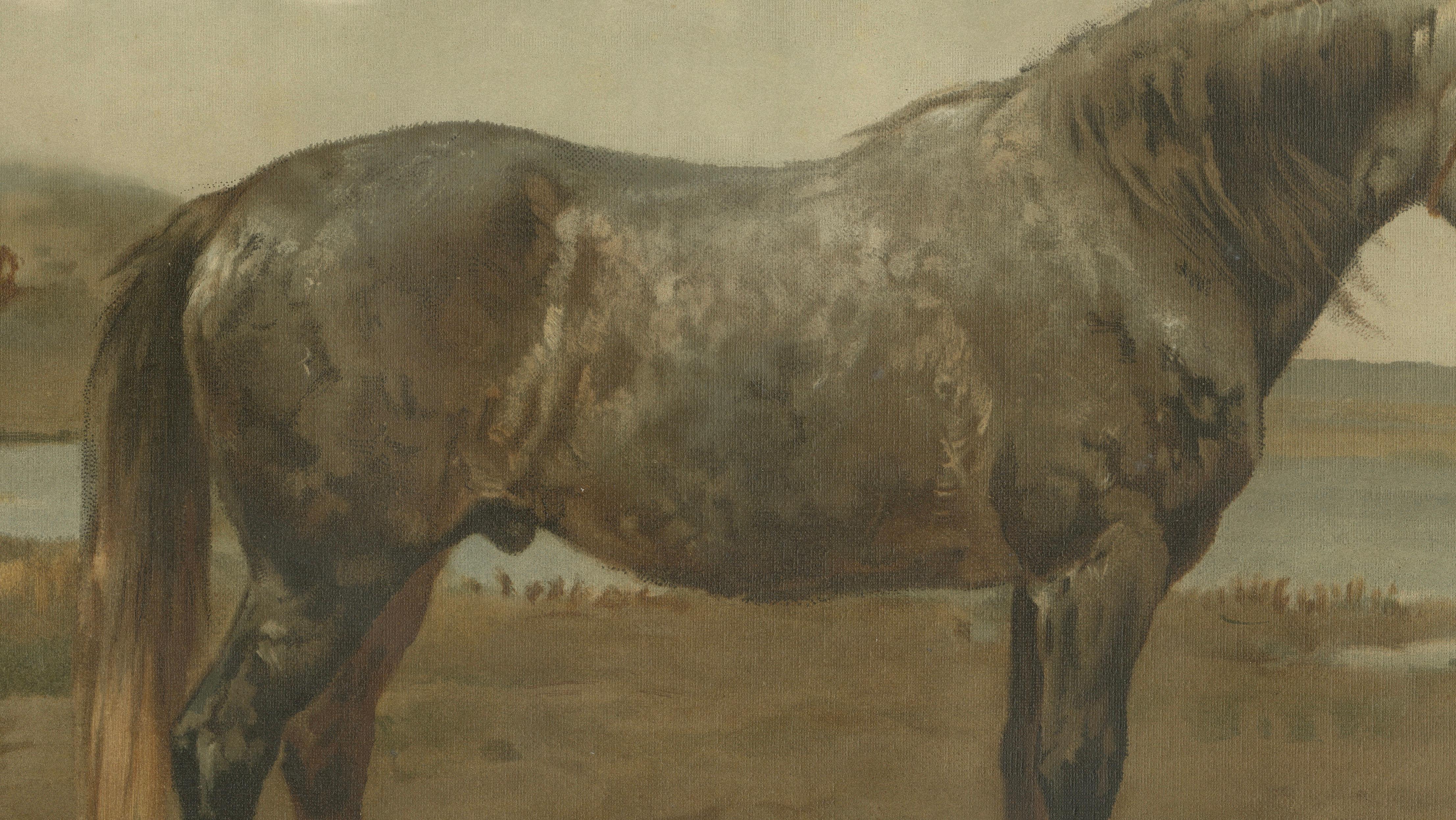 Antique Russian Draft Horse Portrait 1898, Eastern European Equesestrian Litho