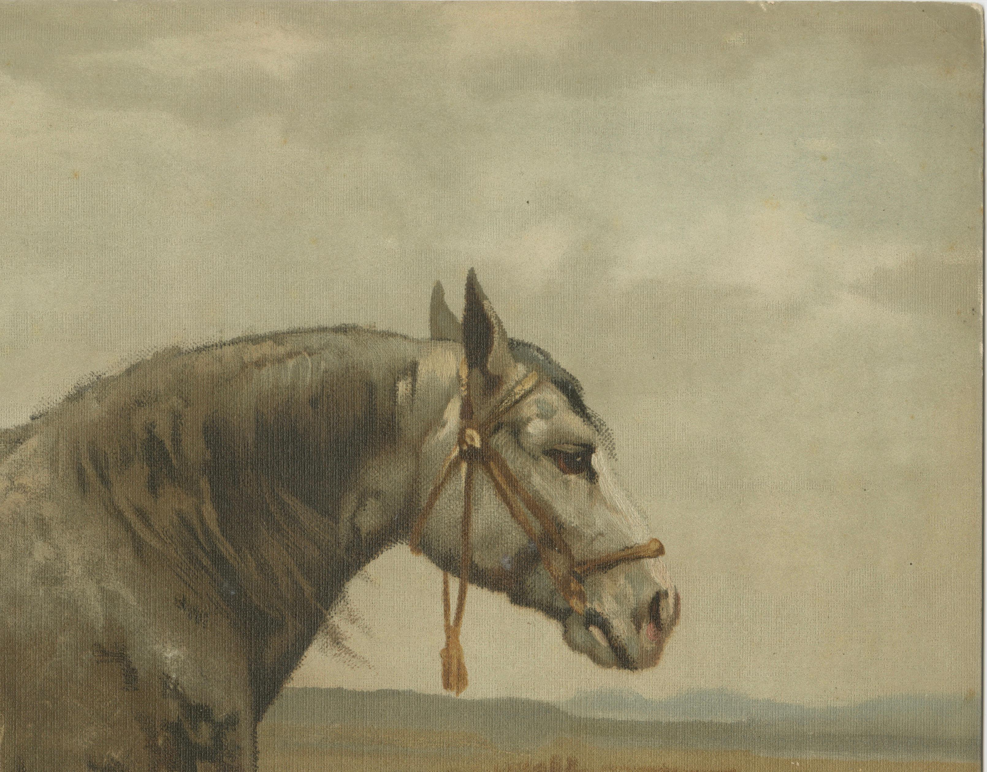 Antique Russian Draft Horse Portrait 1898, Eastern European Equesestrian Litho