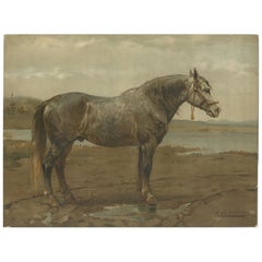 Antique Russian Draft Horse Portrait 1898, Eastern European Equesestrian Litho