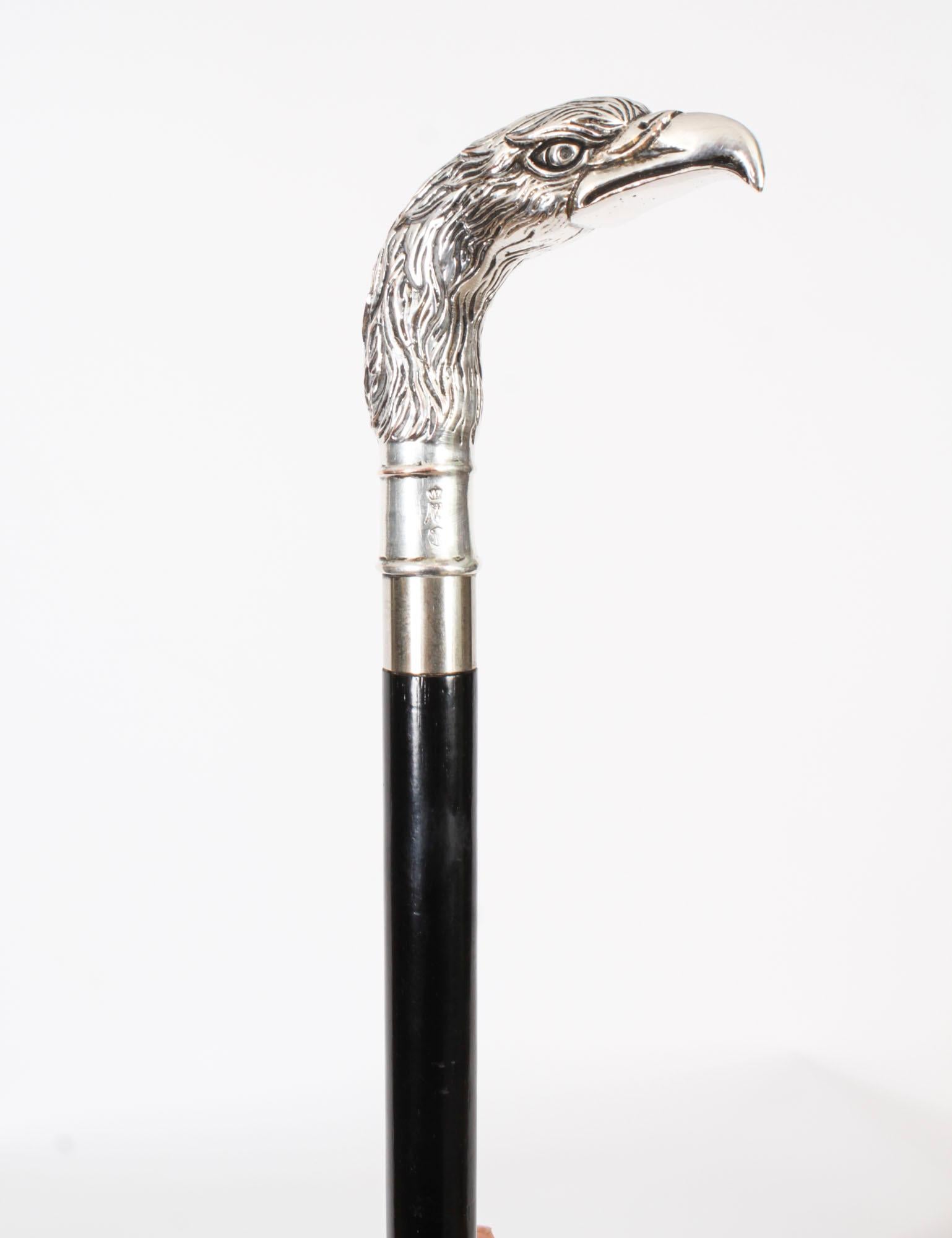 Late 19th Century Antique Continental Silver Eagle Handle Walking Stick 19th Century