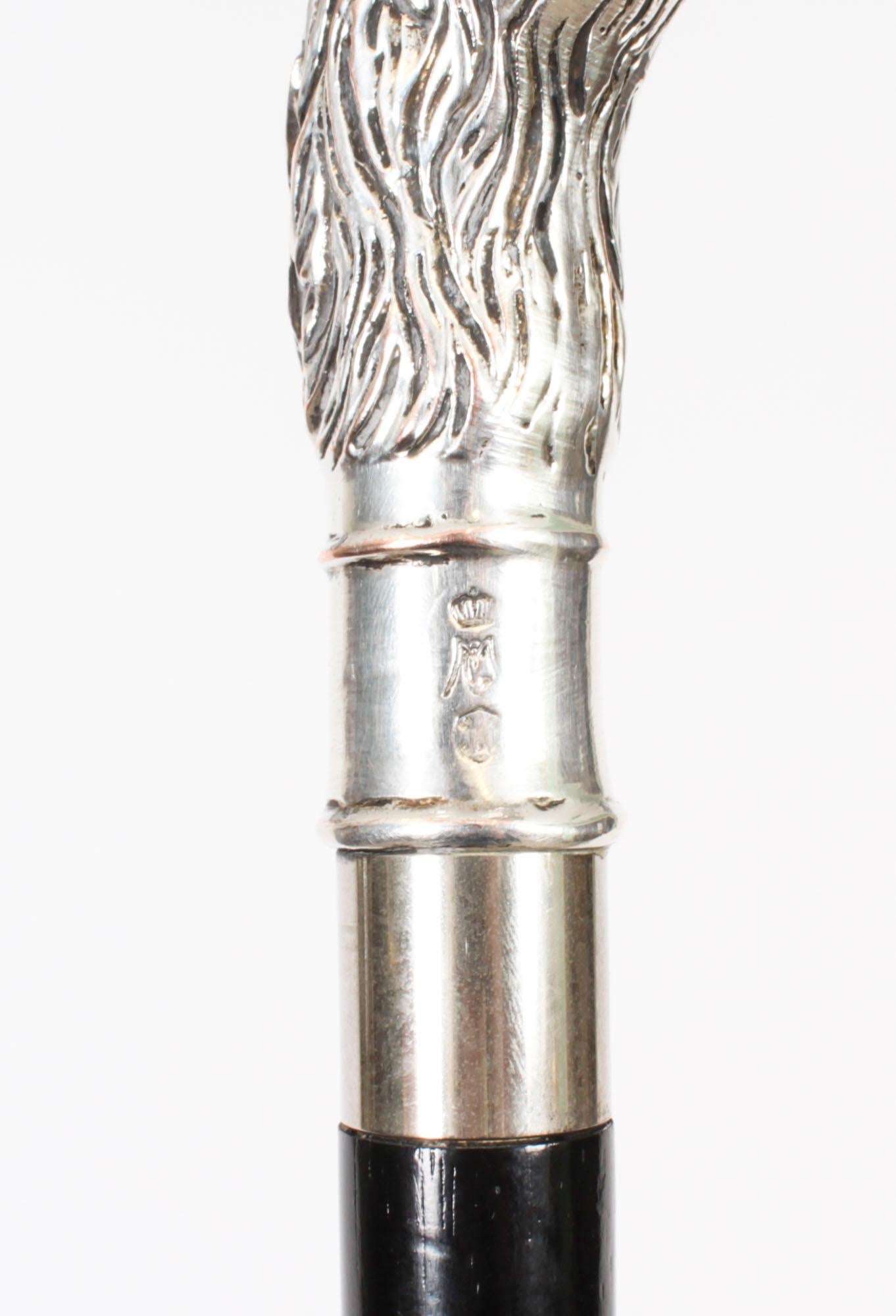 Antique Continental Silver Eagle Handle Walking Stick 19th Century 1