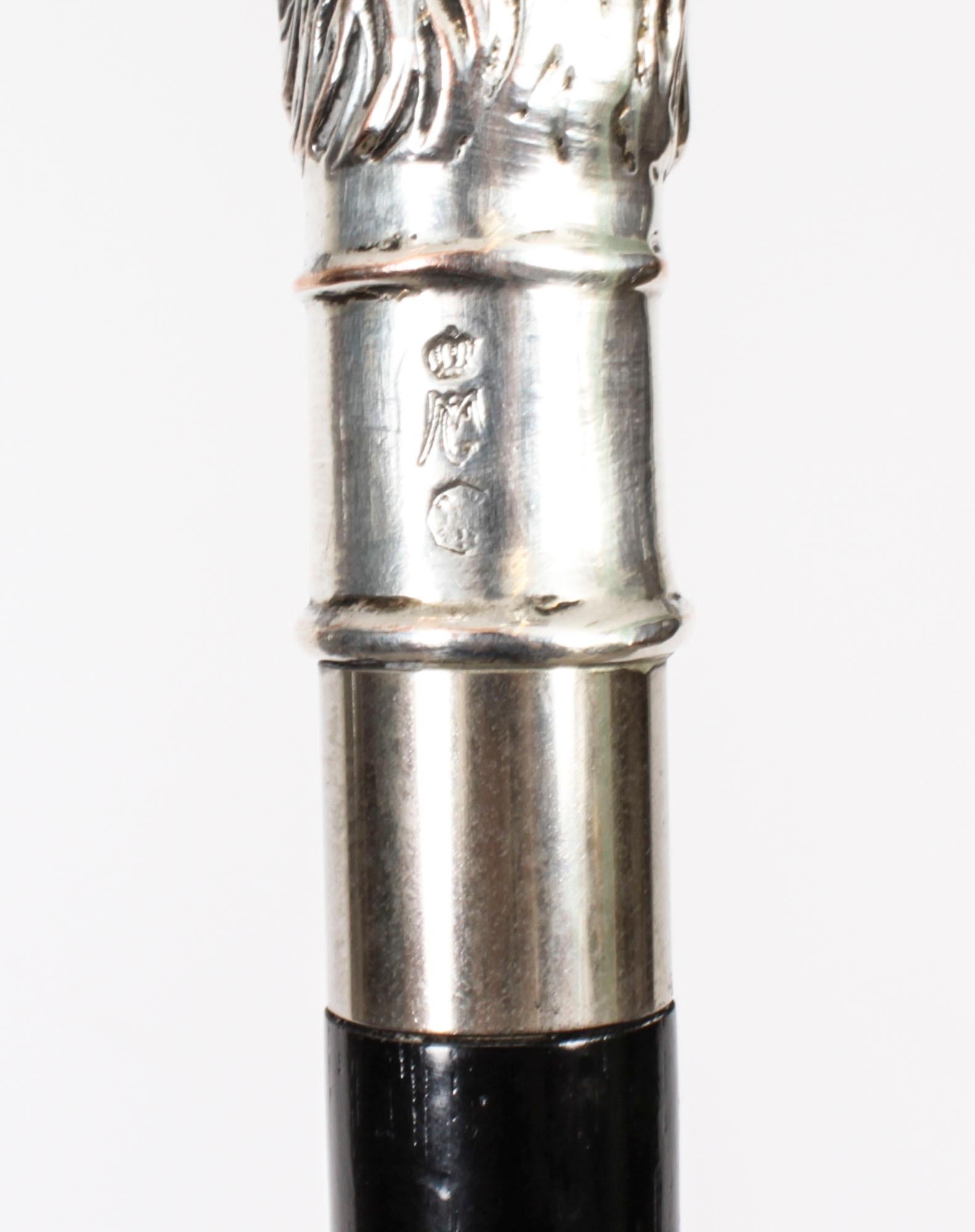 Antique Continental Silver Eagle Handle Walking Stick 19th Century 2