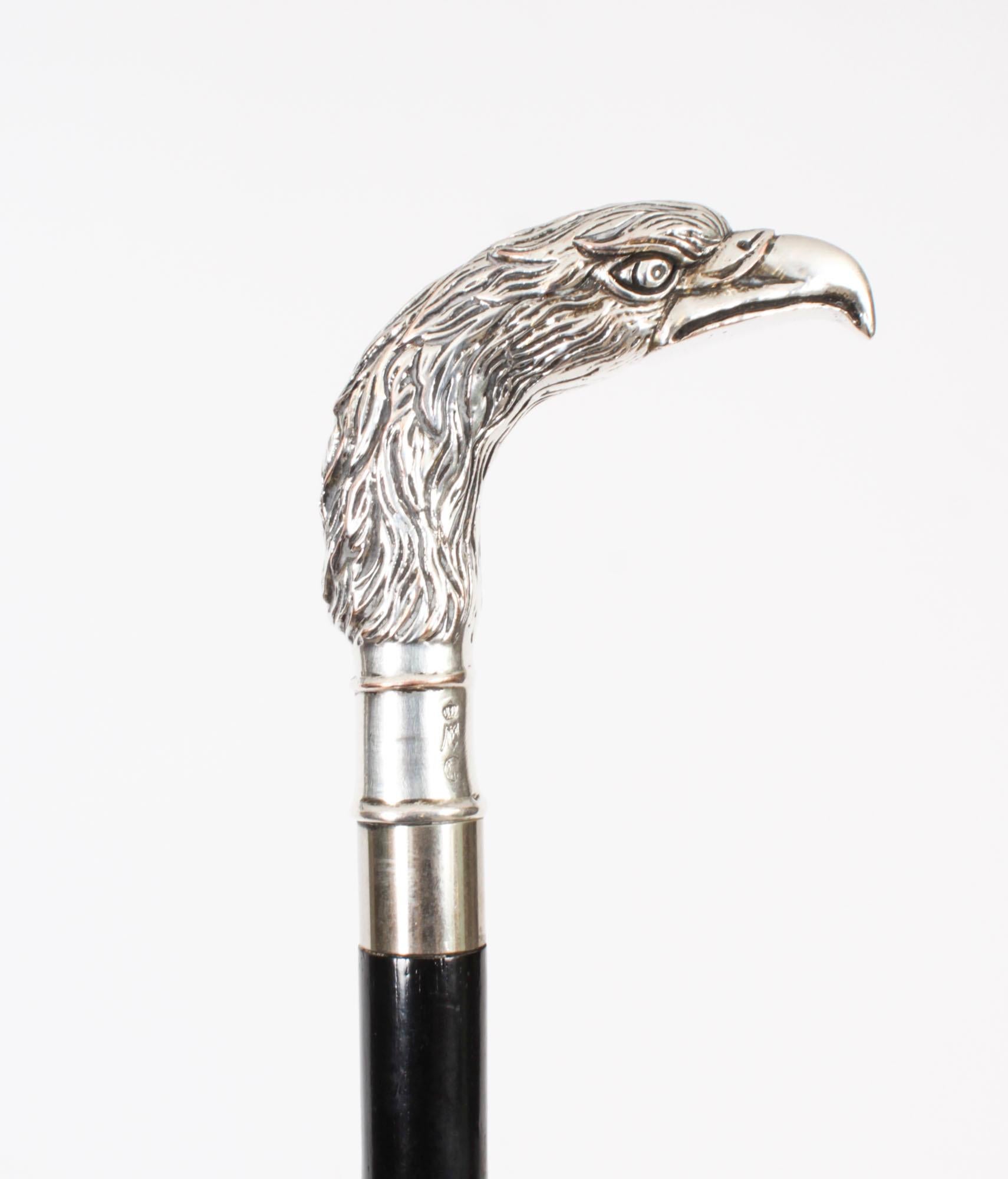 Antique Continental Silver Eagle Handle Walking Stick 19th Century 4