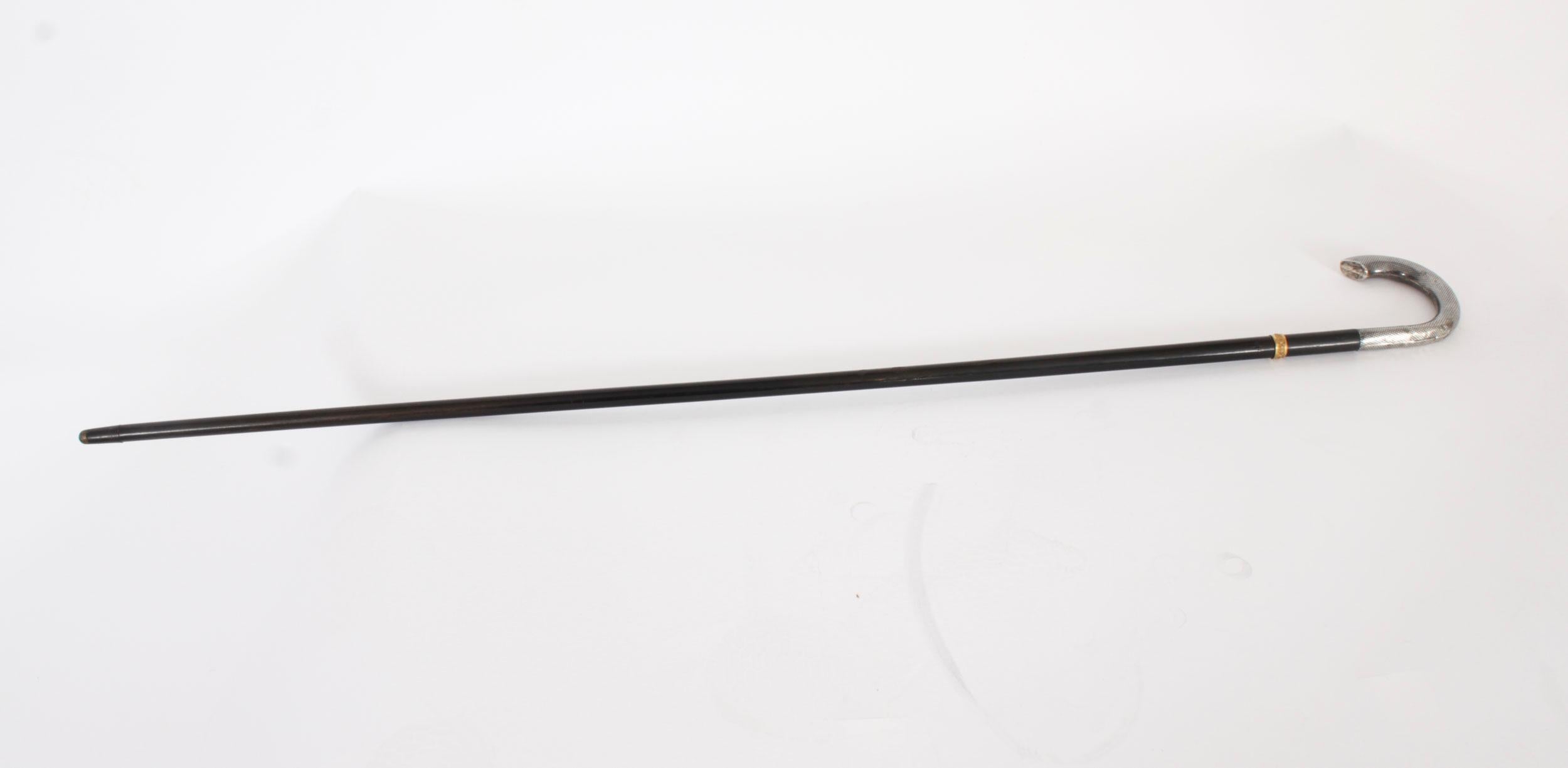 hook shaped walking aid