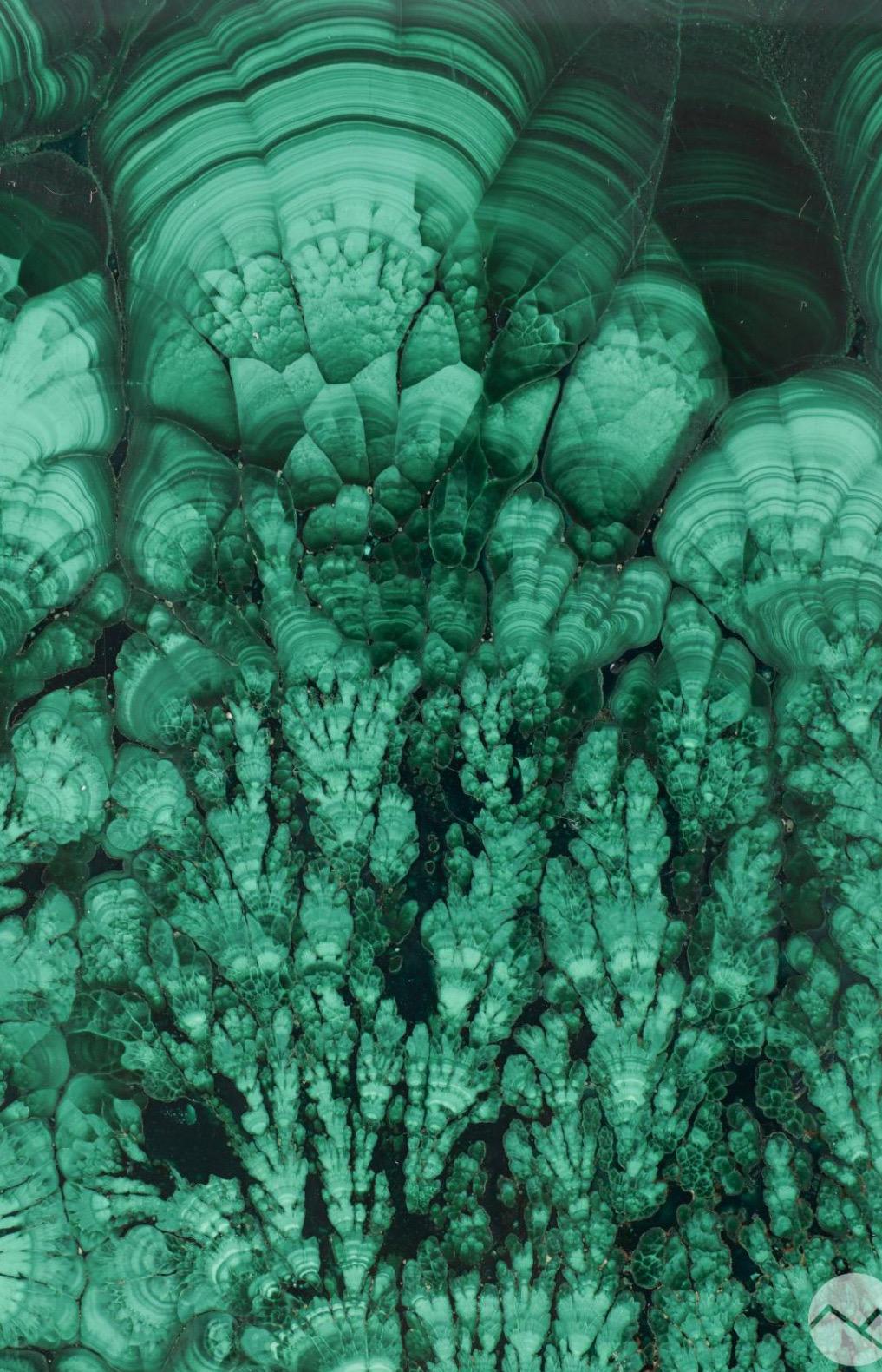Européen Ancienne boîte commode autrichienne à couvercle en malachite en vente