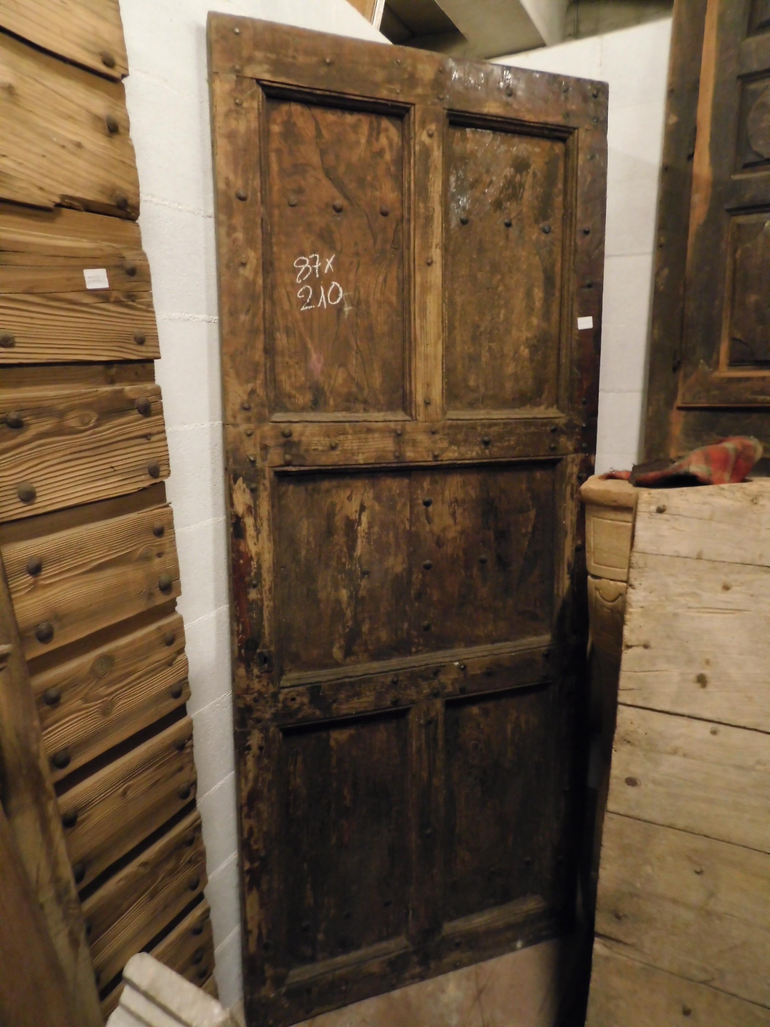 Italian Antique Rustic Chestnut Door, Panels and Nails, 19th Century, Italy