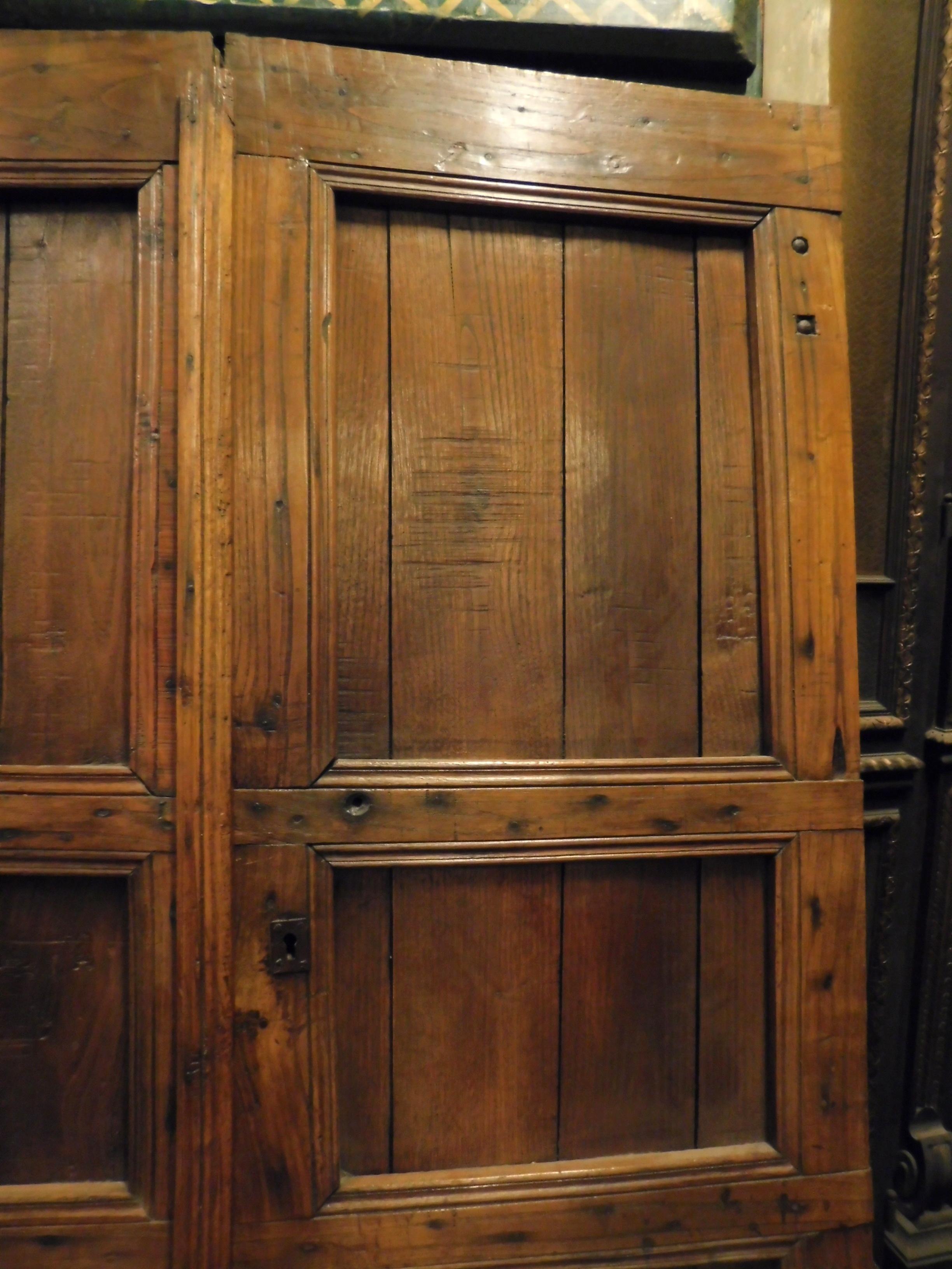 Antike rustikale Doppelflügeltür, in Larch mit geschnitzten Paneelen, Italien, 19. Jahrhundert (Handgeschnitzt) im Angebot