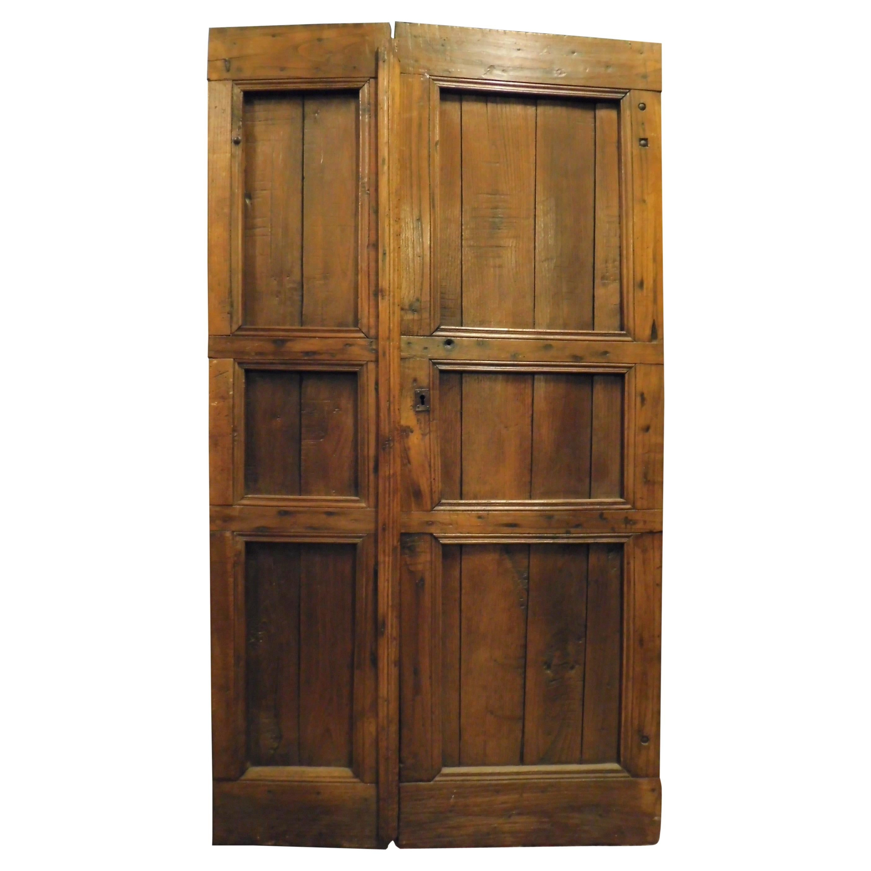 Antique Rustic Double-Wing Door, in Larch with Carved Panels, 19th Century Italy For Sale